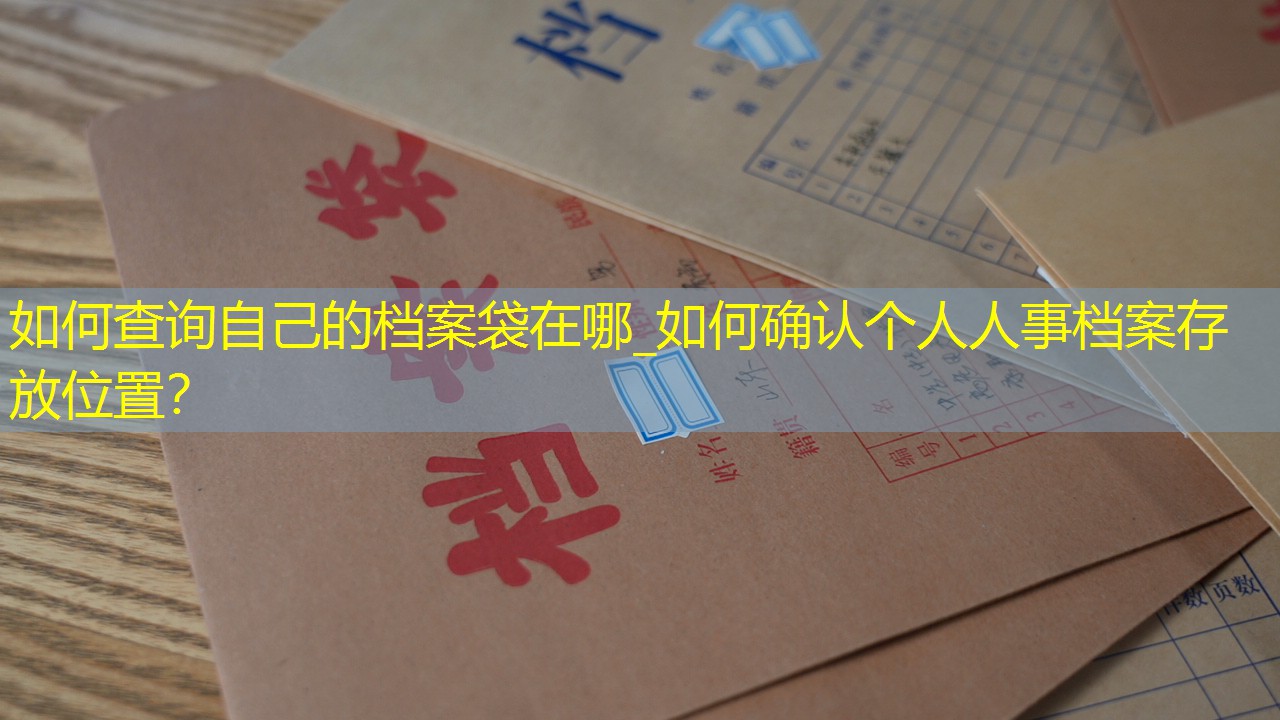 档案查询