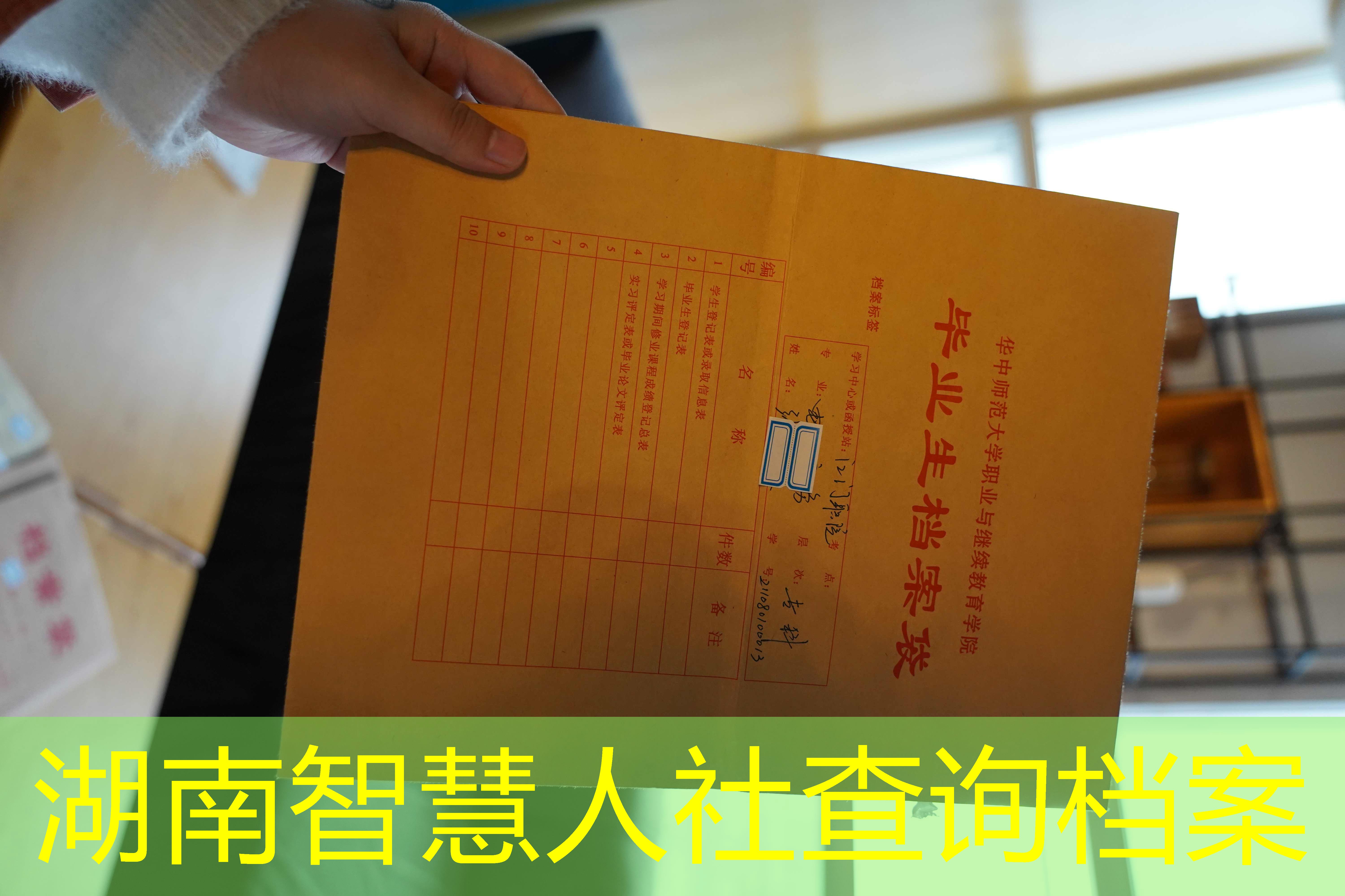 档案查询
