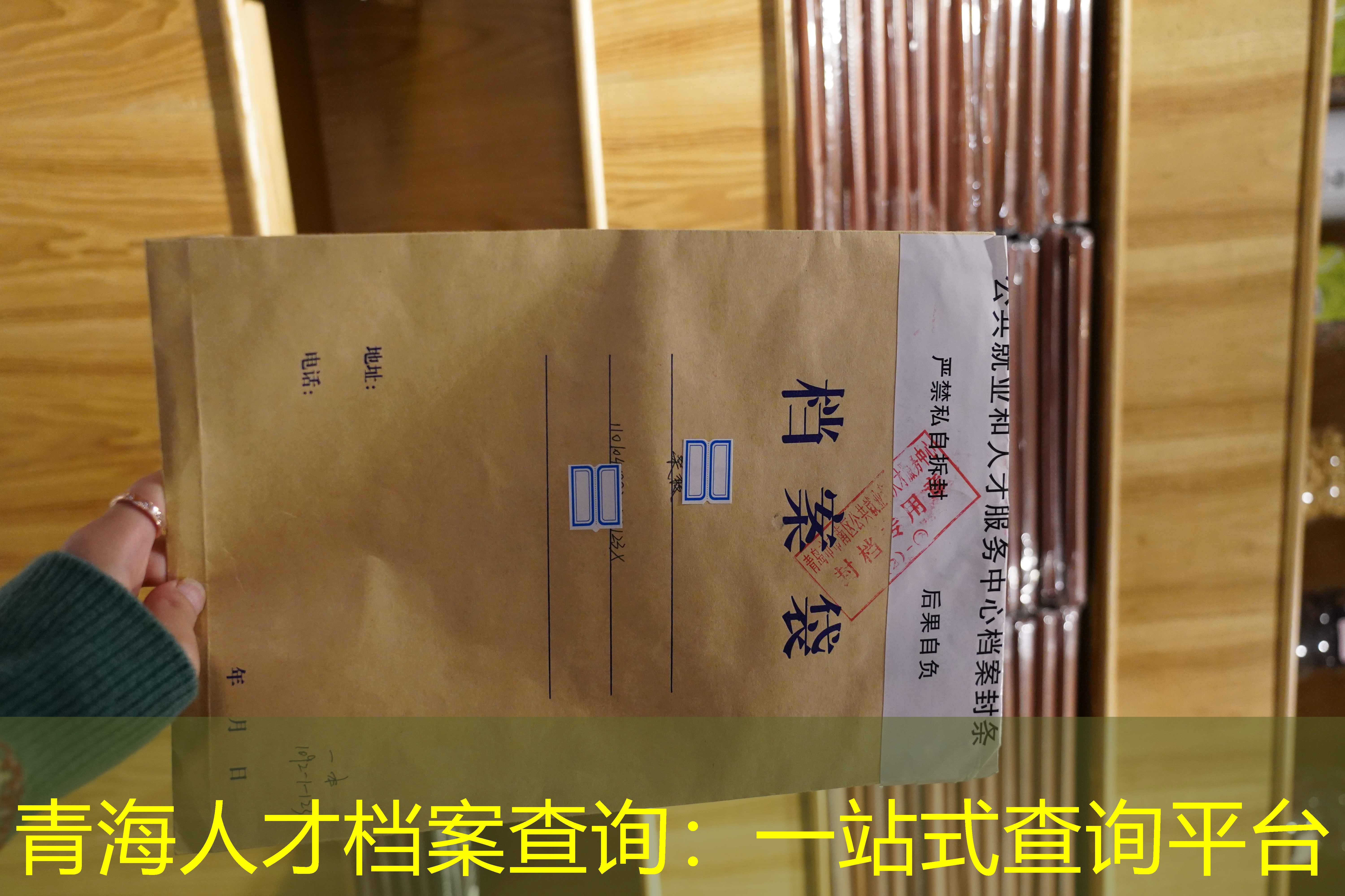 档案查询
