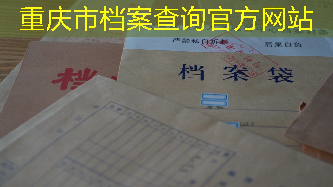 档案查询