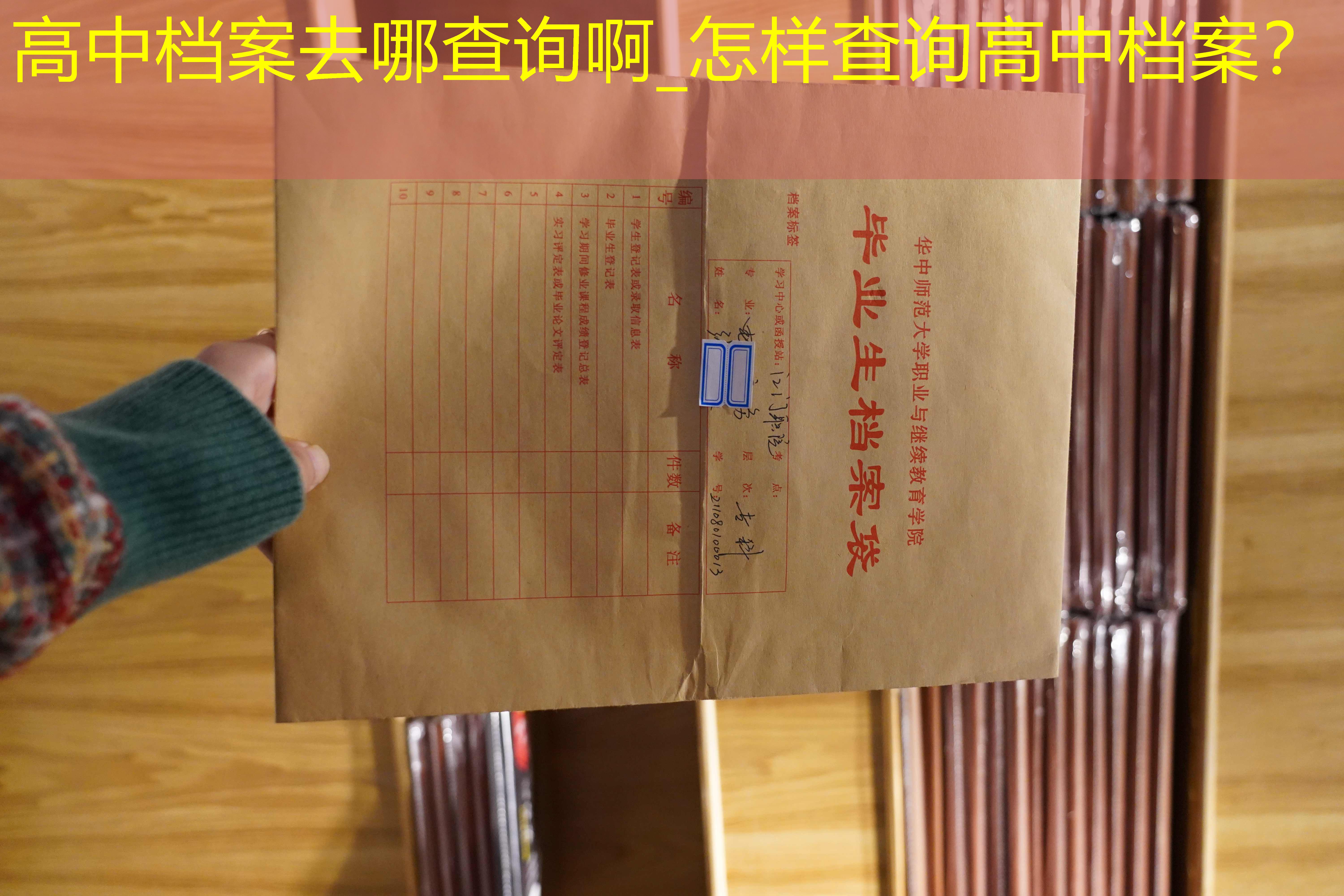 档案查询