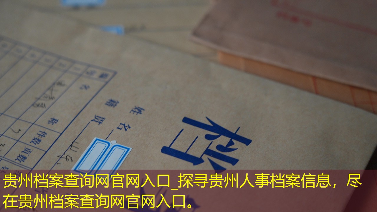 档案查询