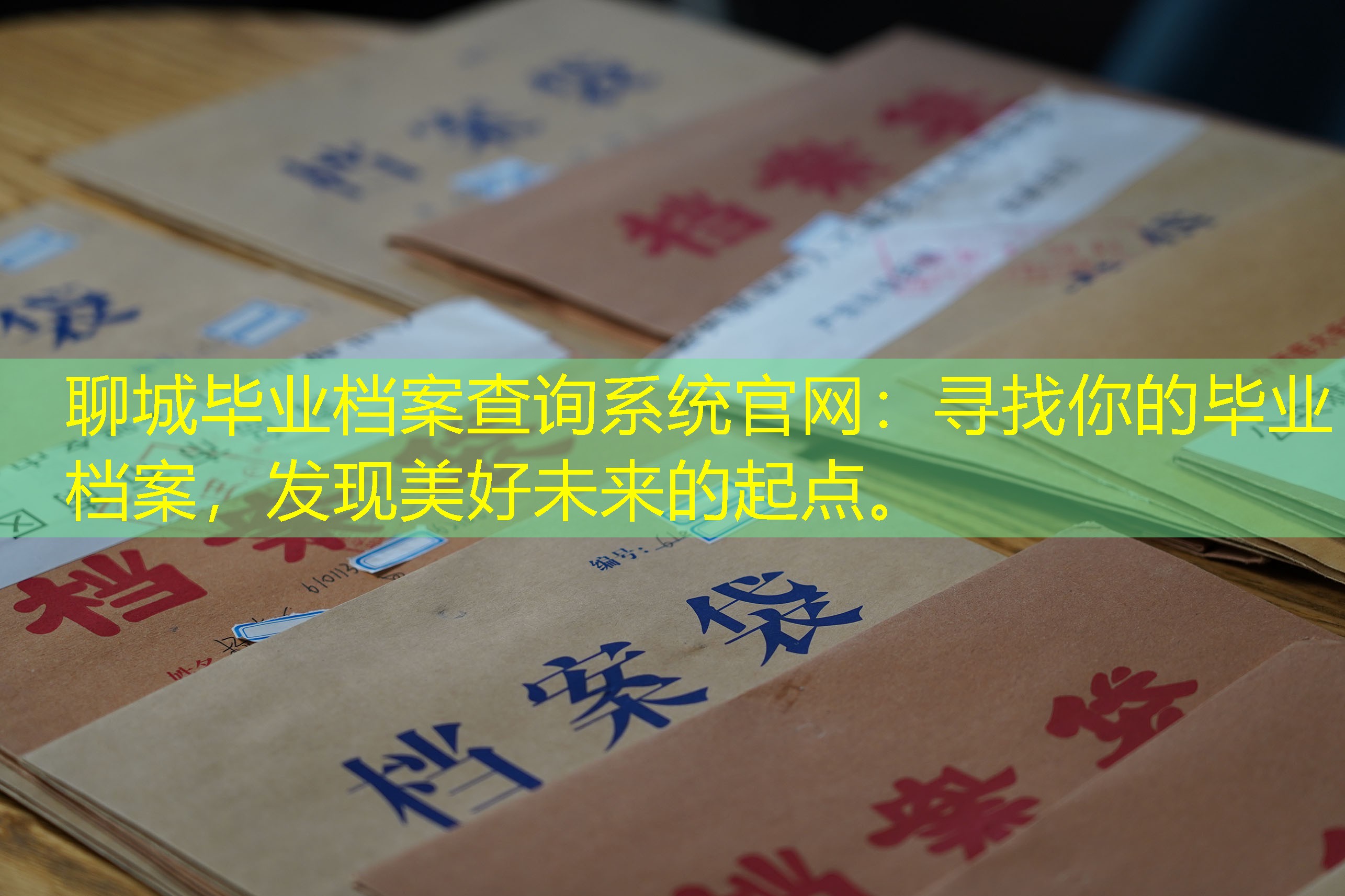 档案查询
