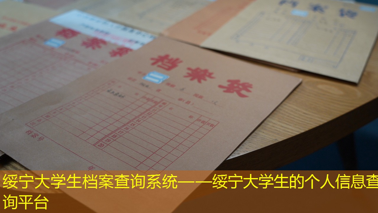 档案查询