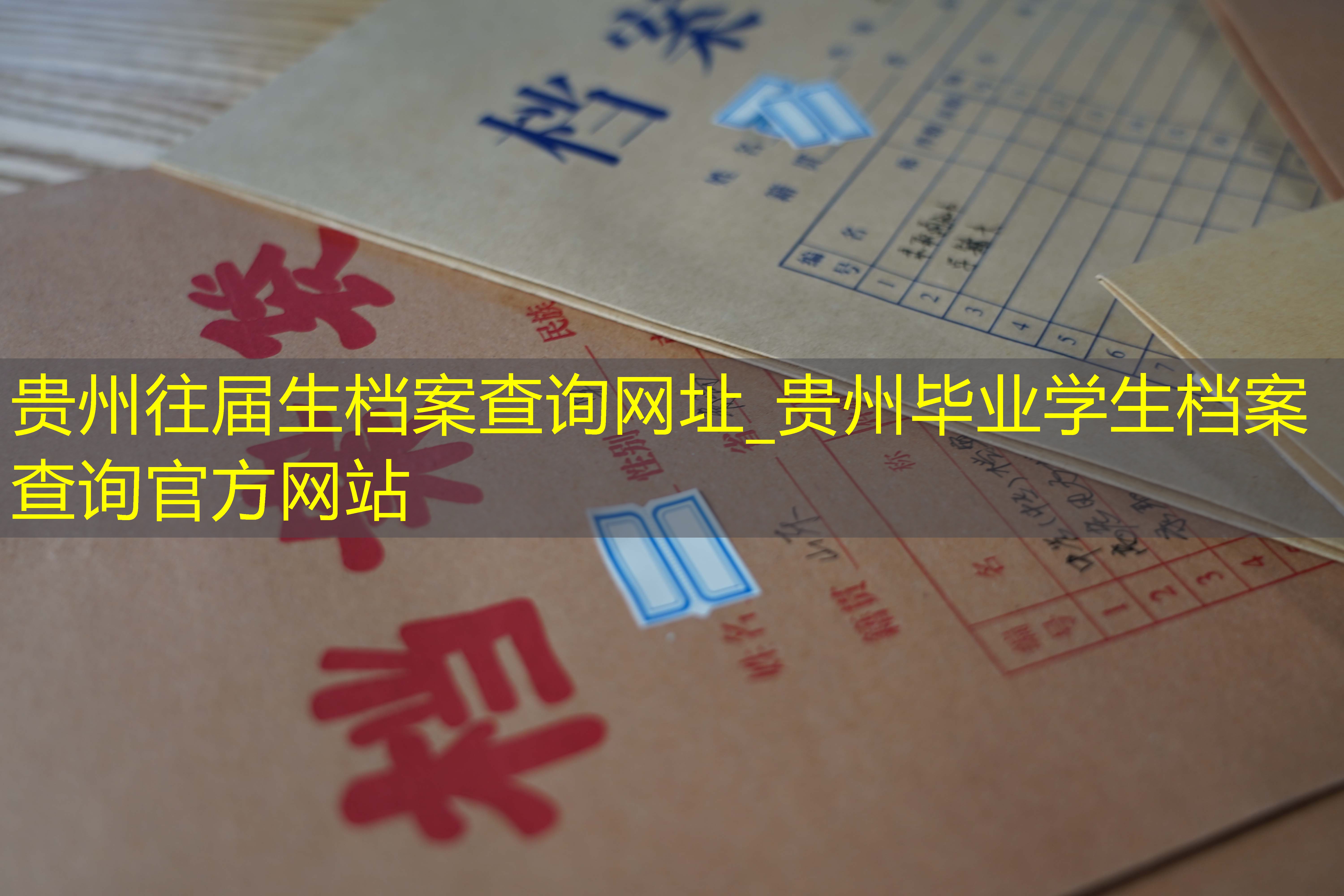 档案查询