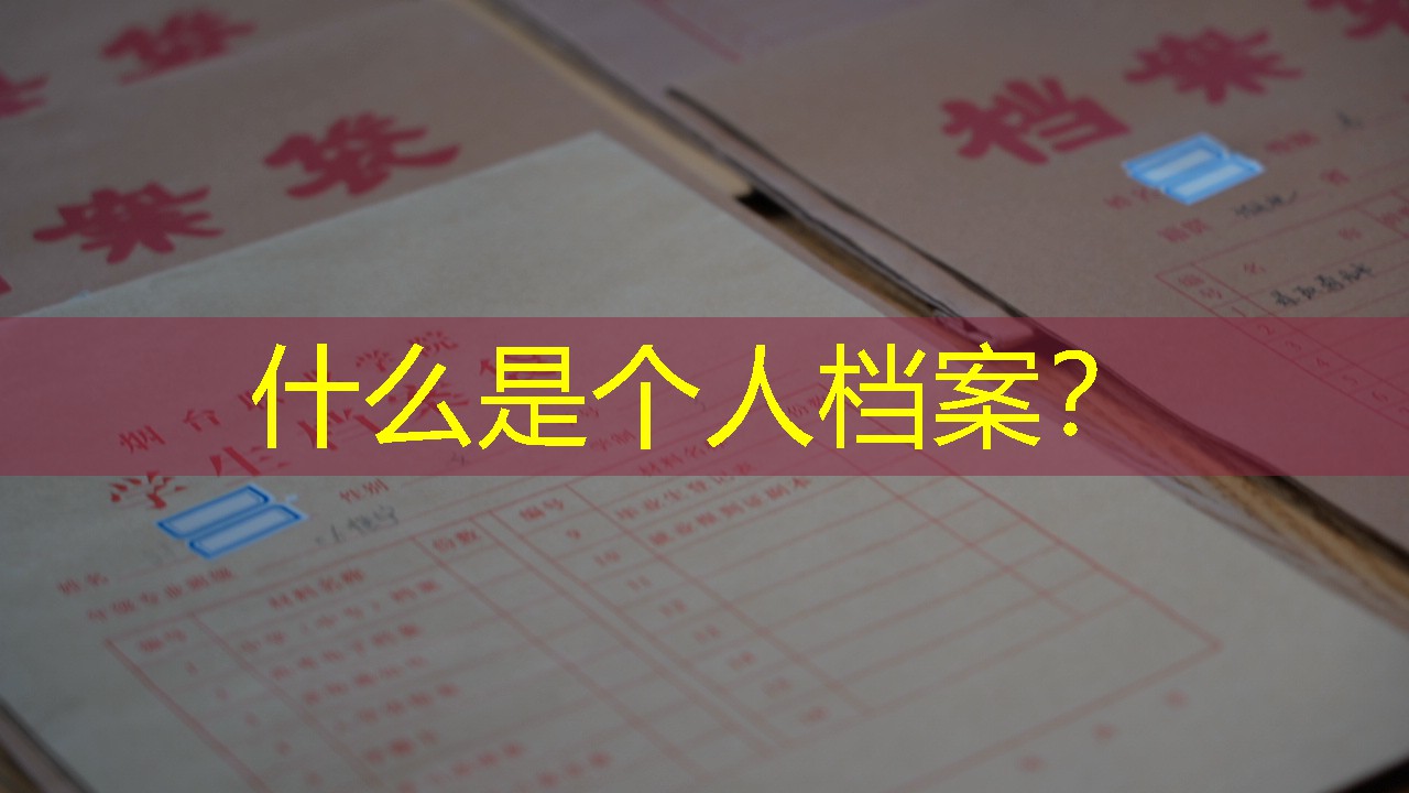 档案查询