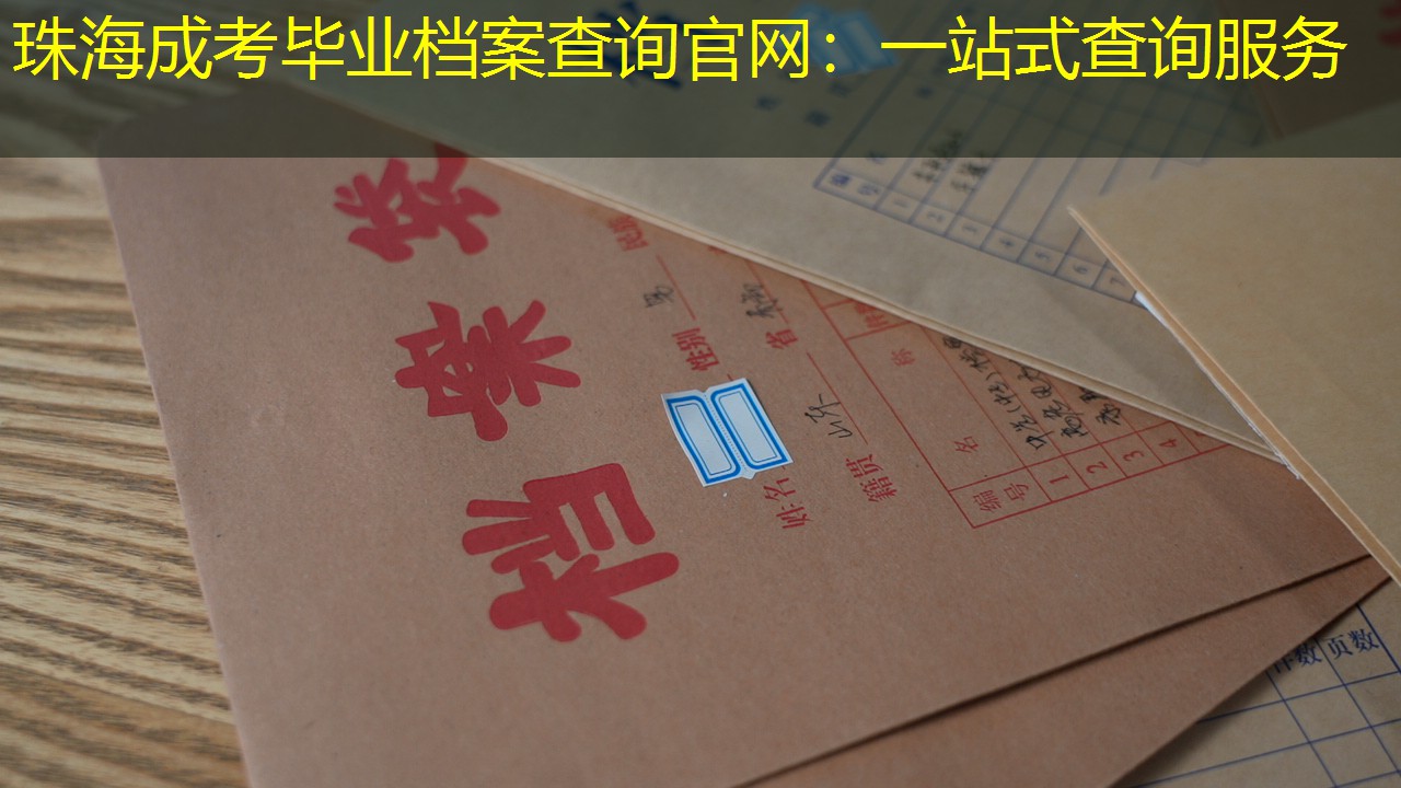 档案查询