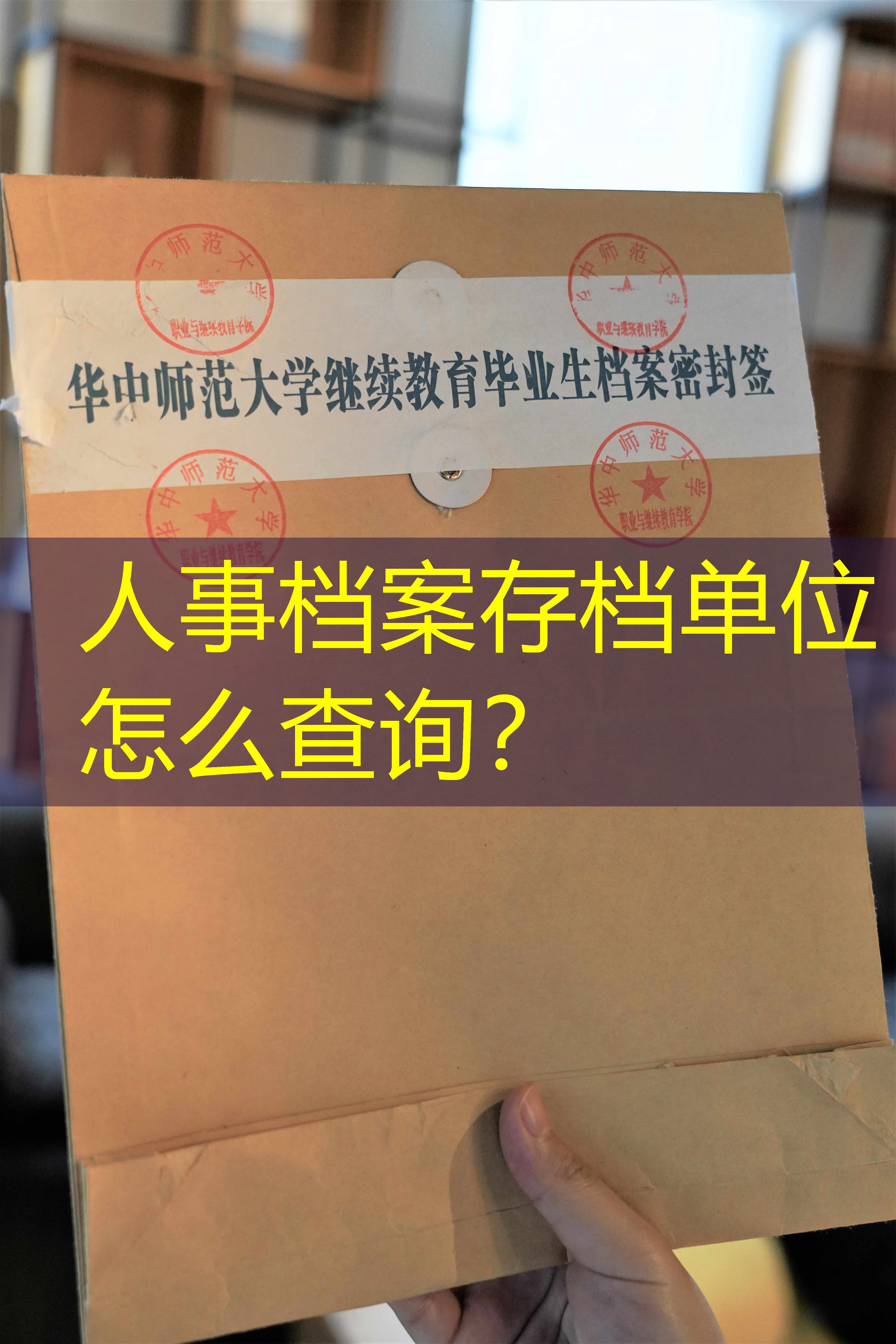 档案查询