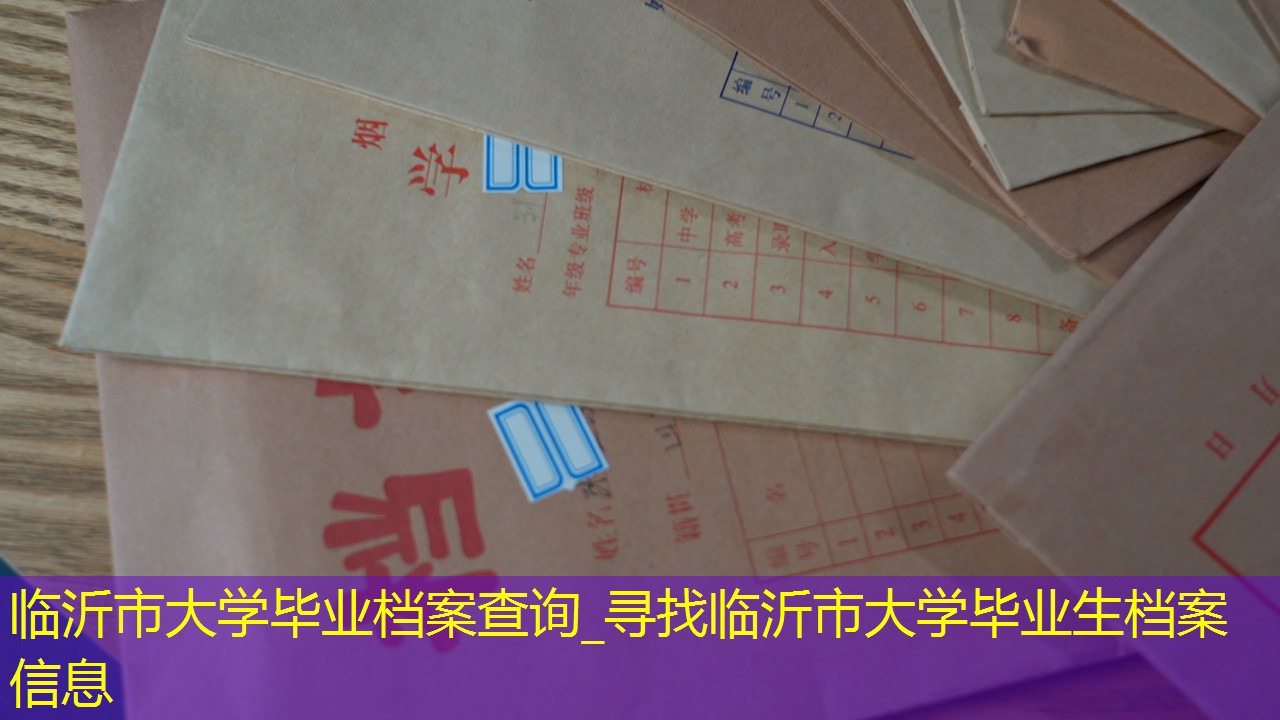 档案查询