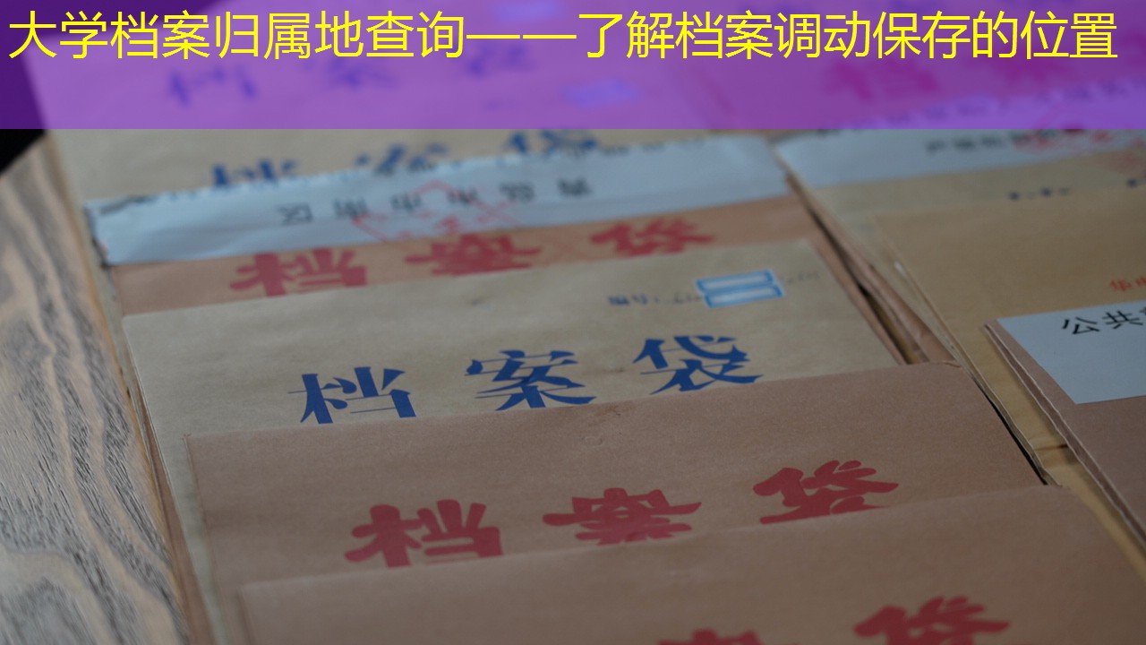 档案查询