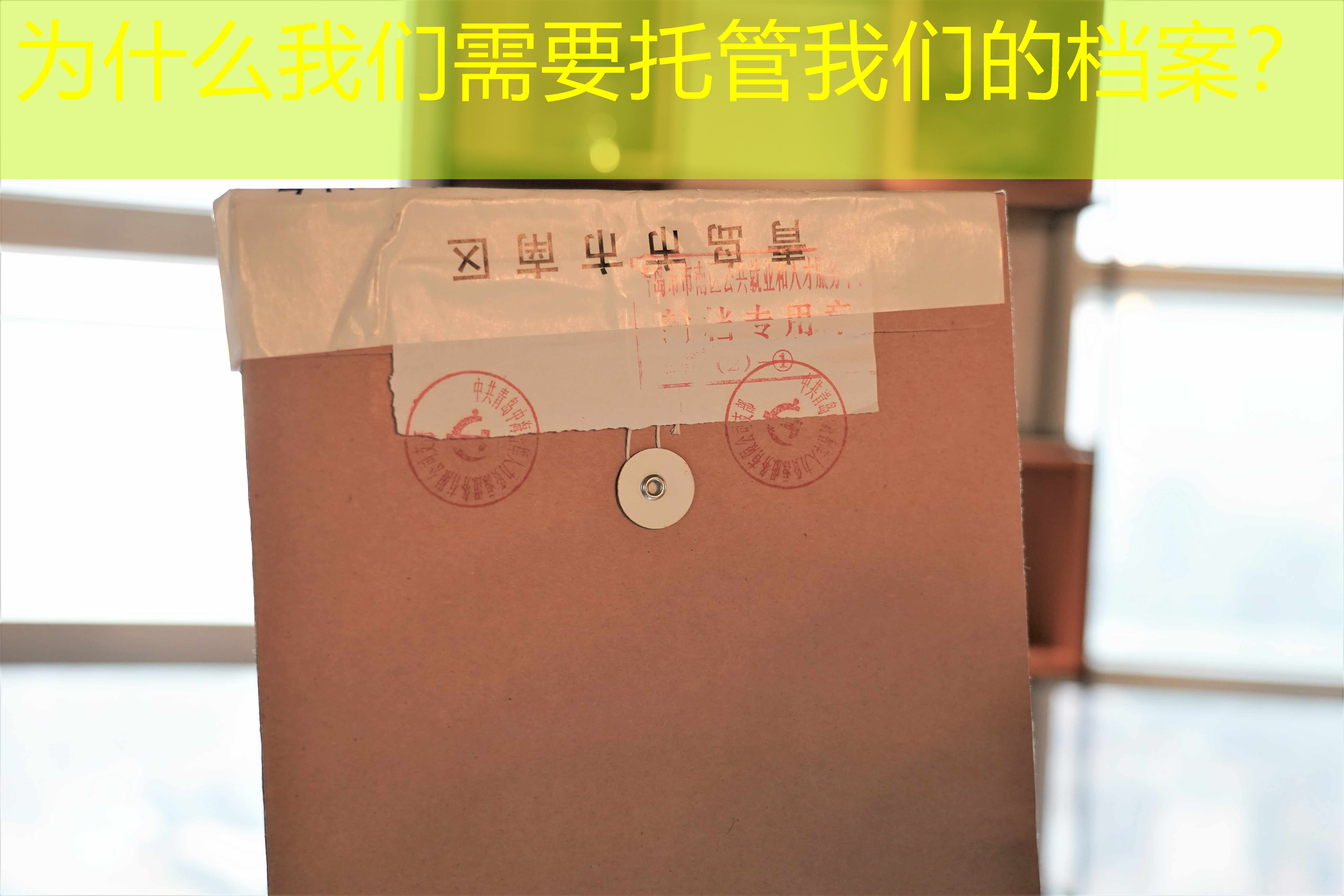 档案查询