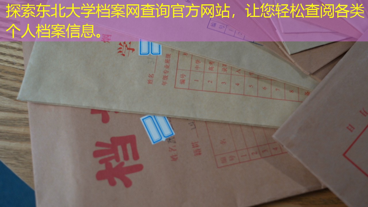 档案查询