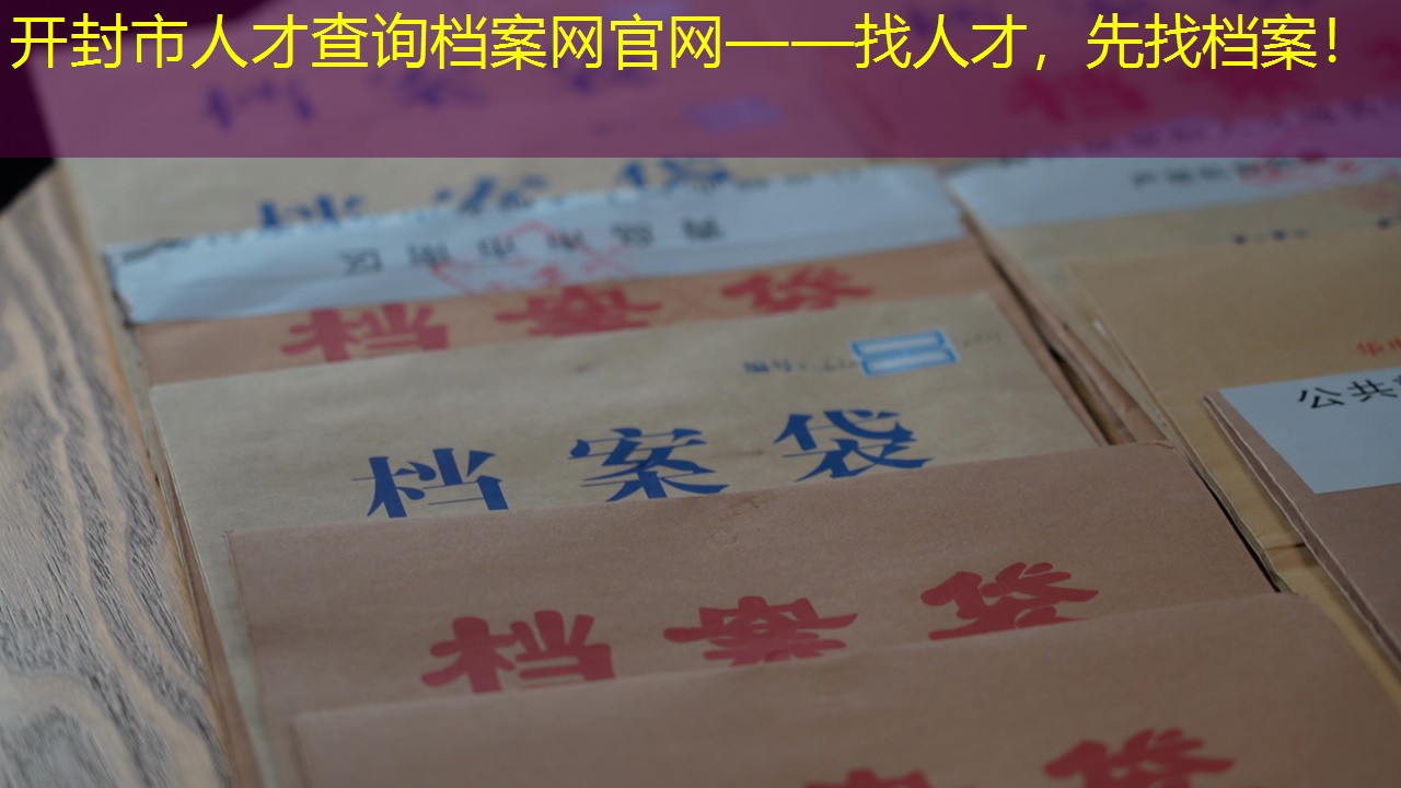 档案查询