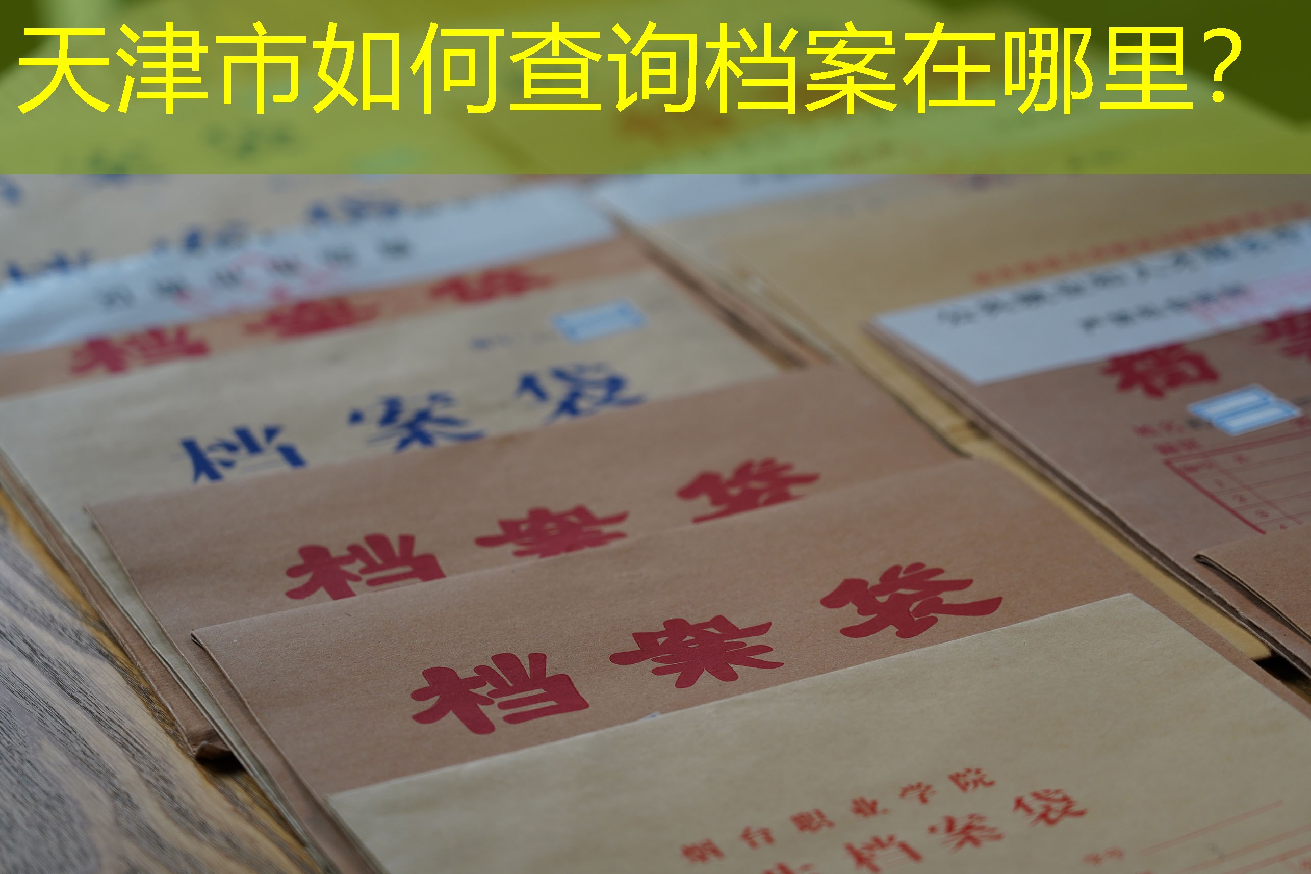 档案查询