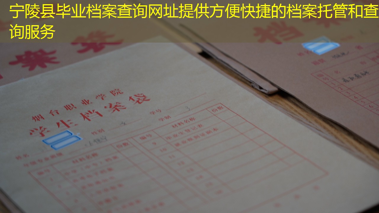档案查询