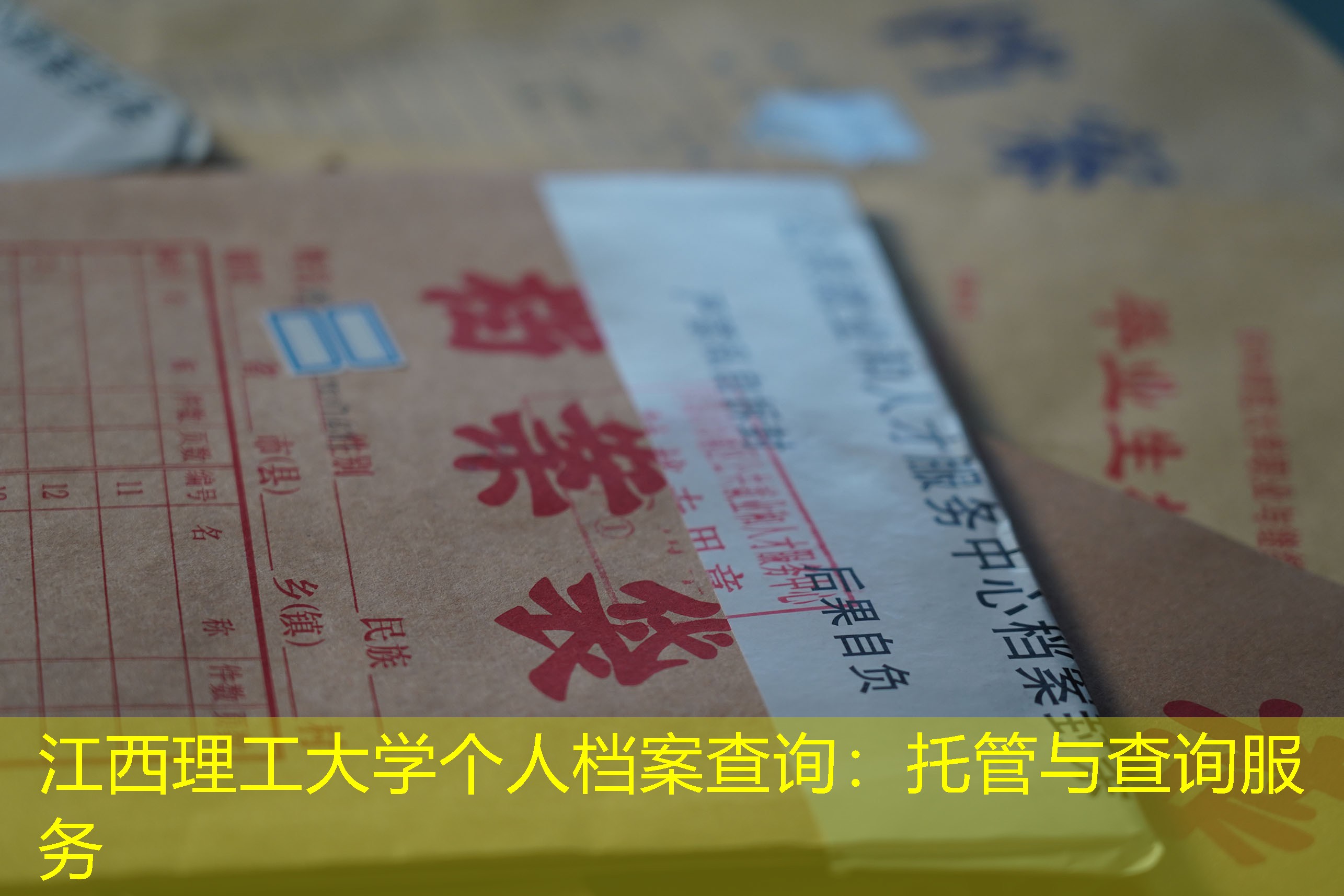 档案查询