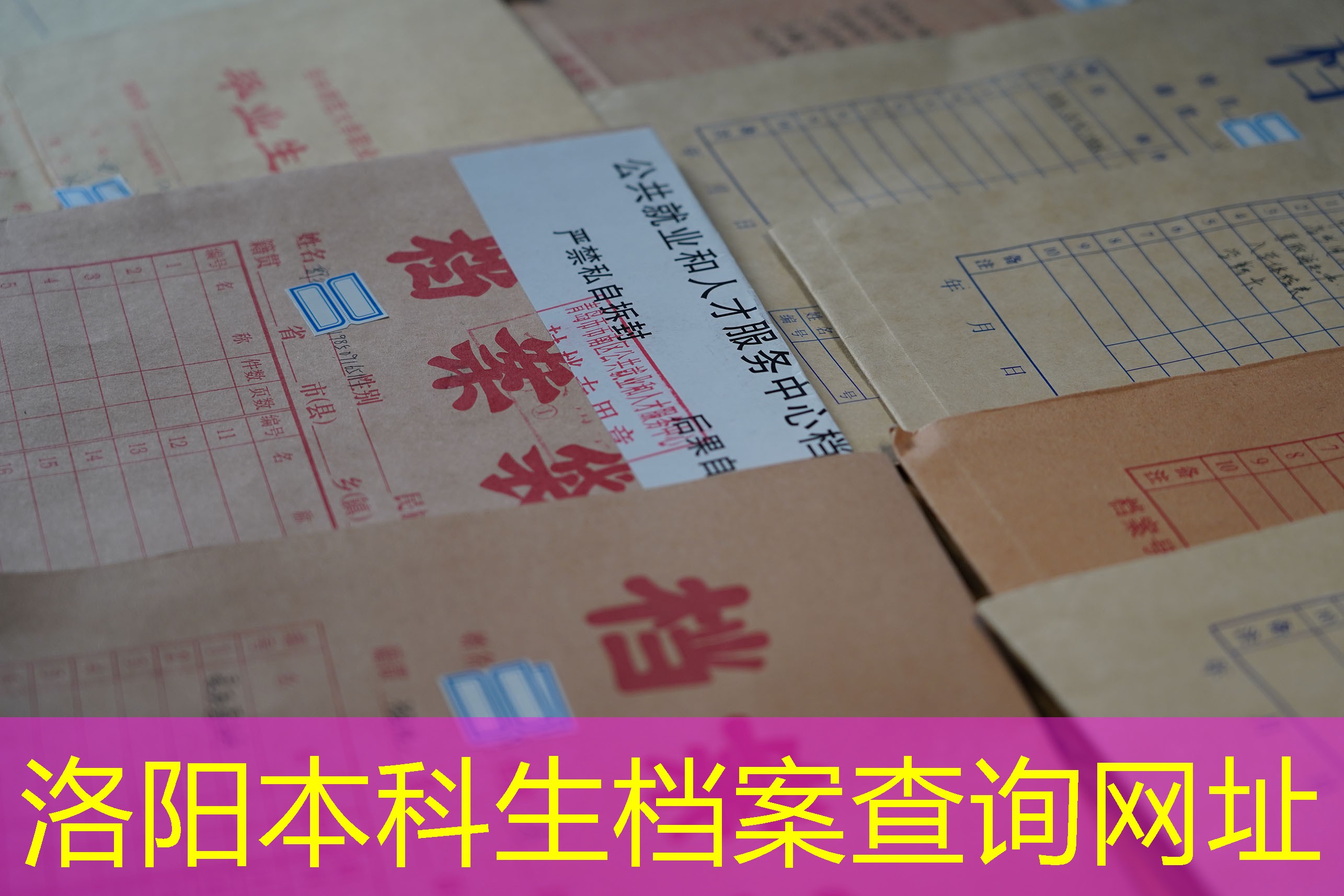 档案查询
