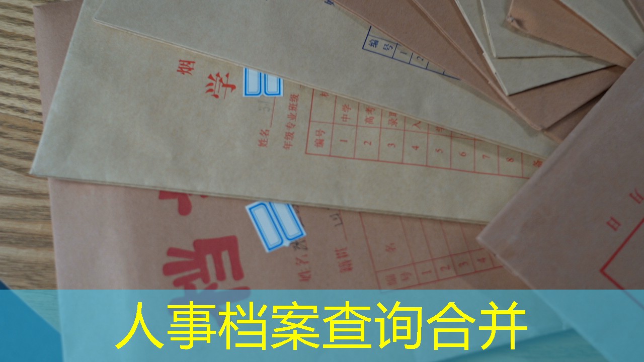 档案查询