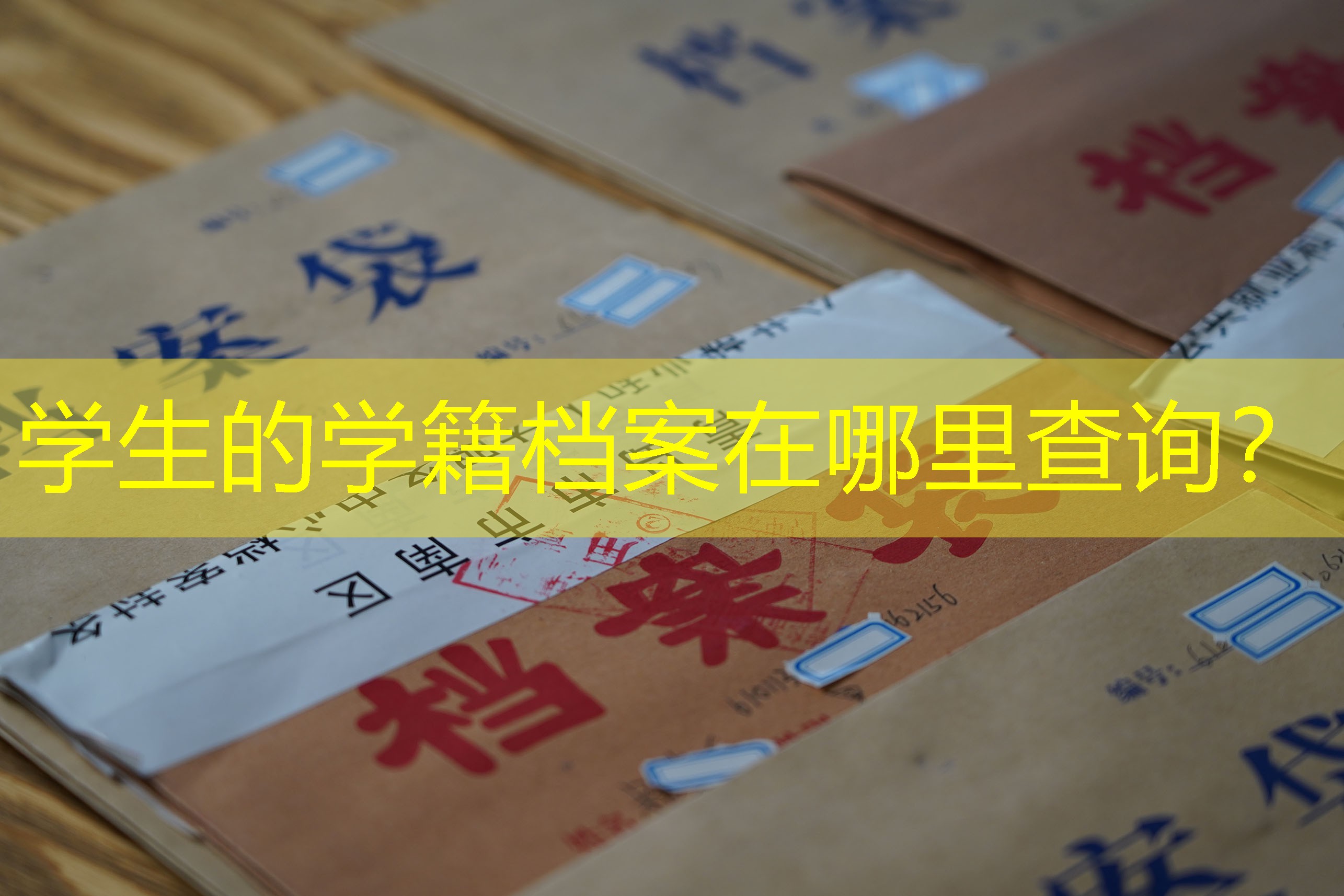 档案查询
