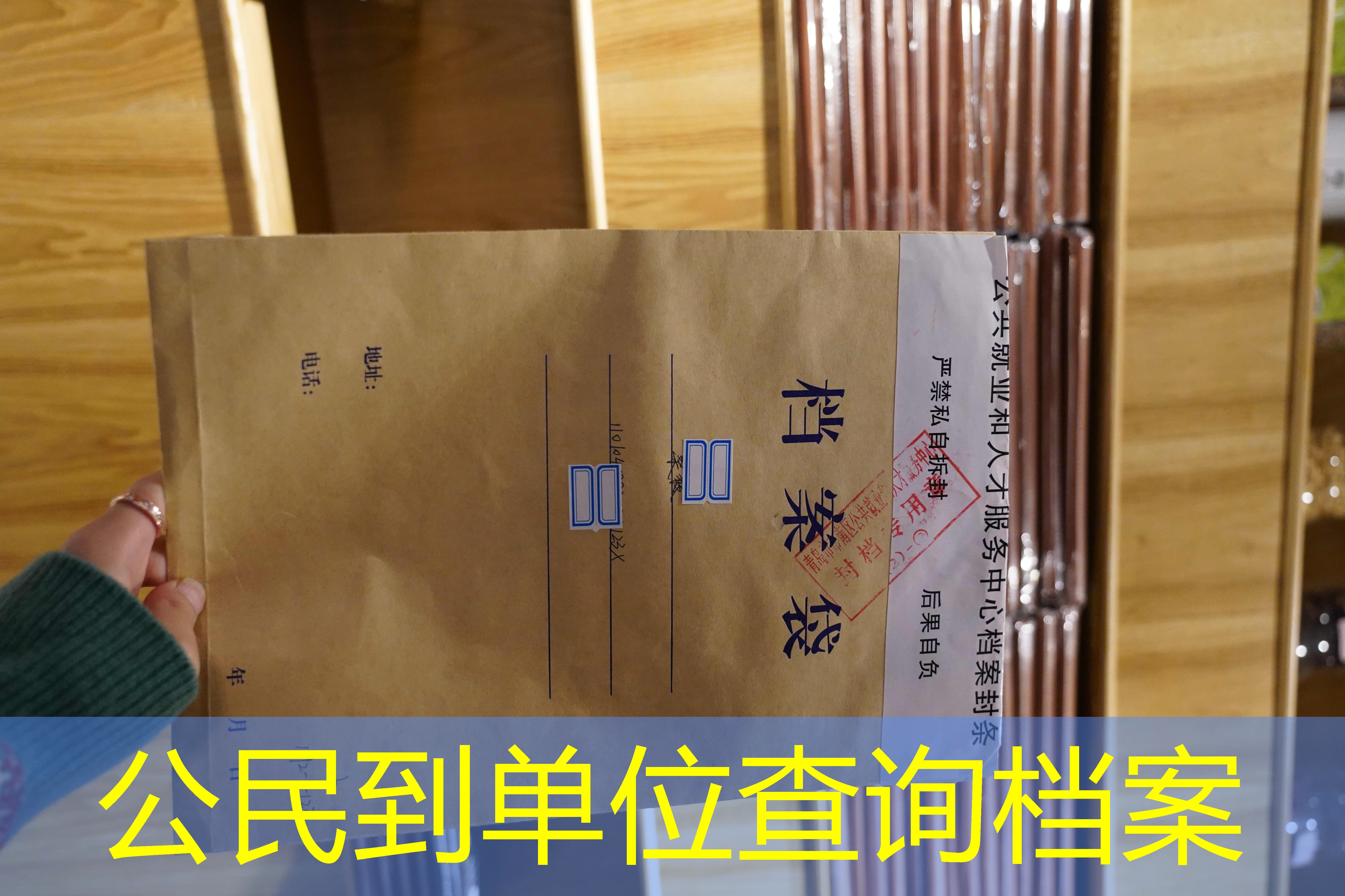 档案查询