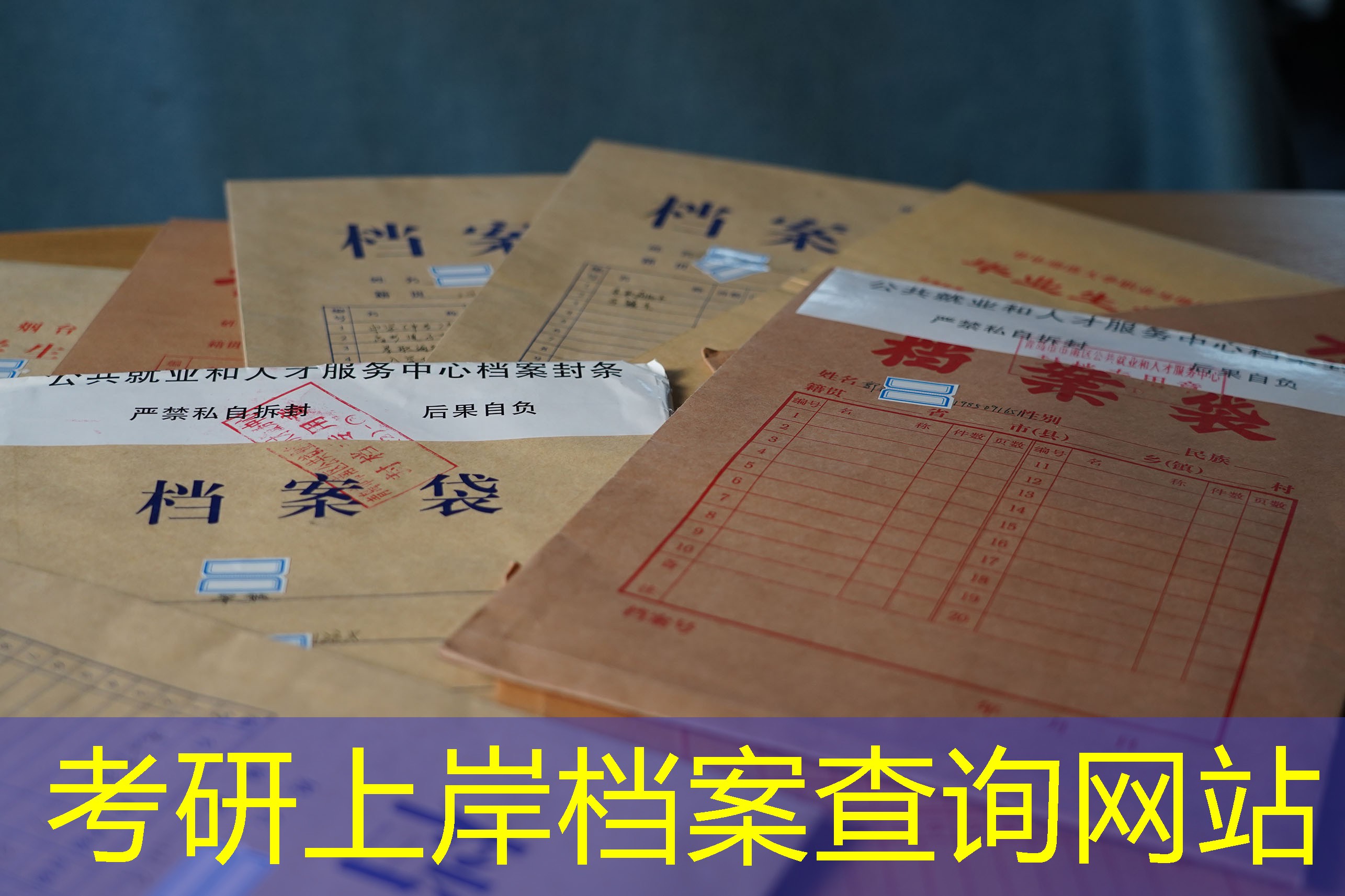 档案查询