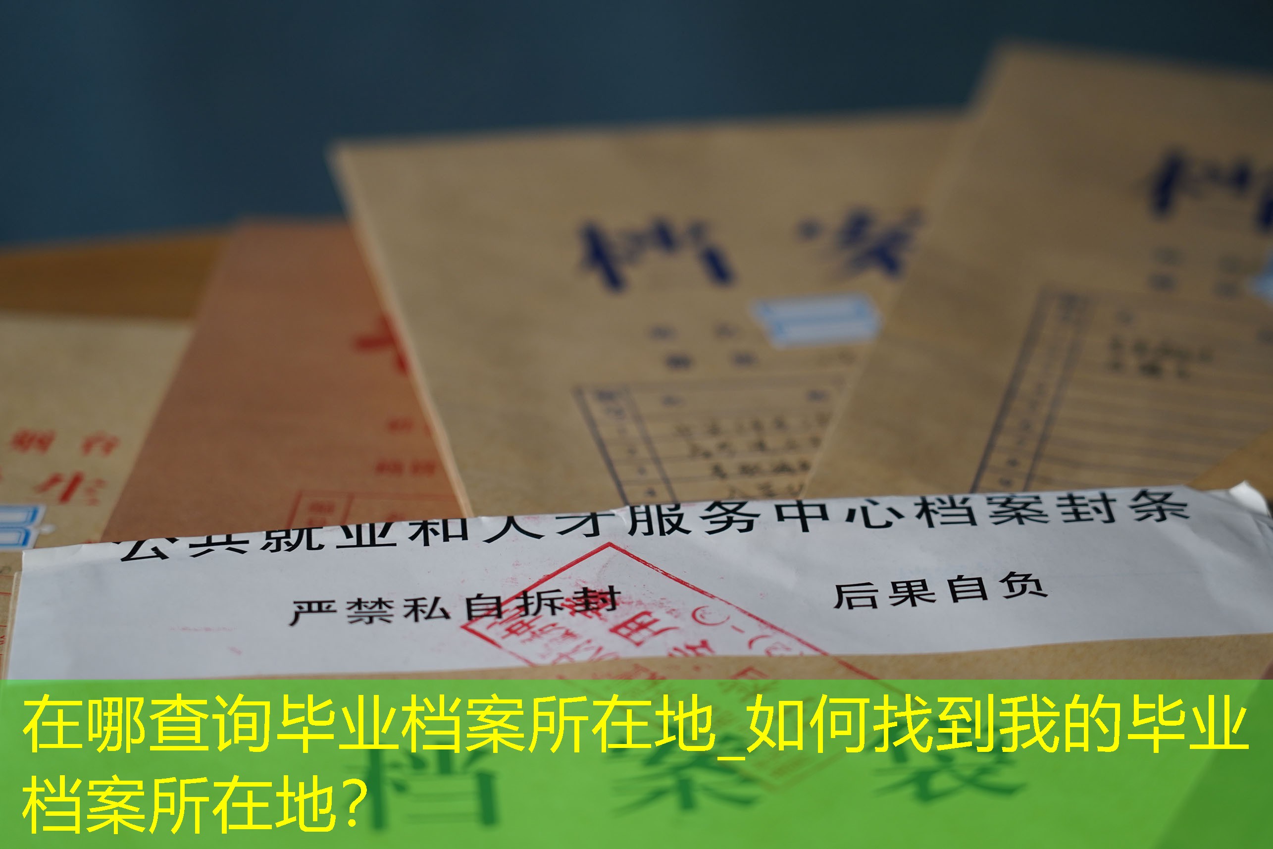 档案查询