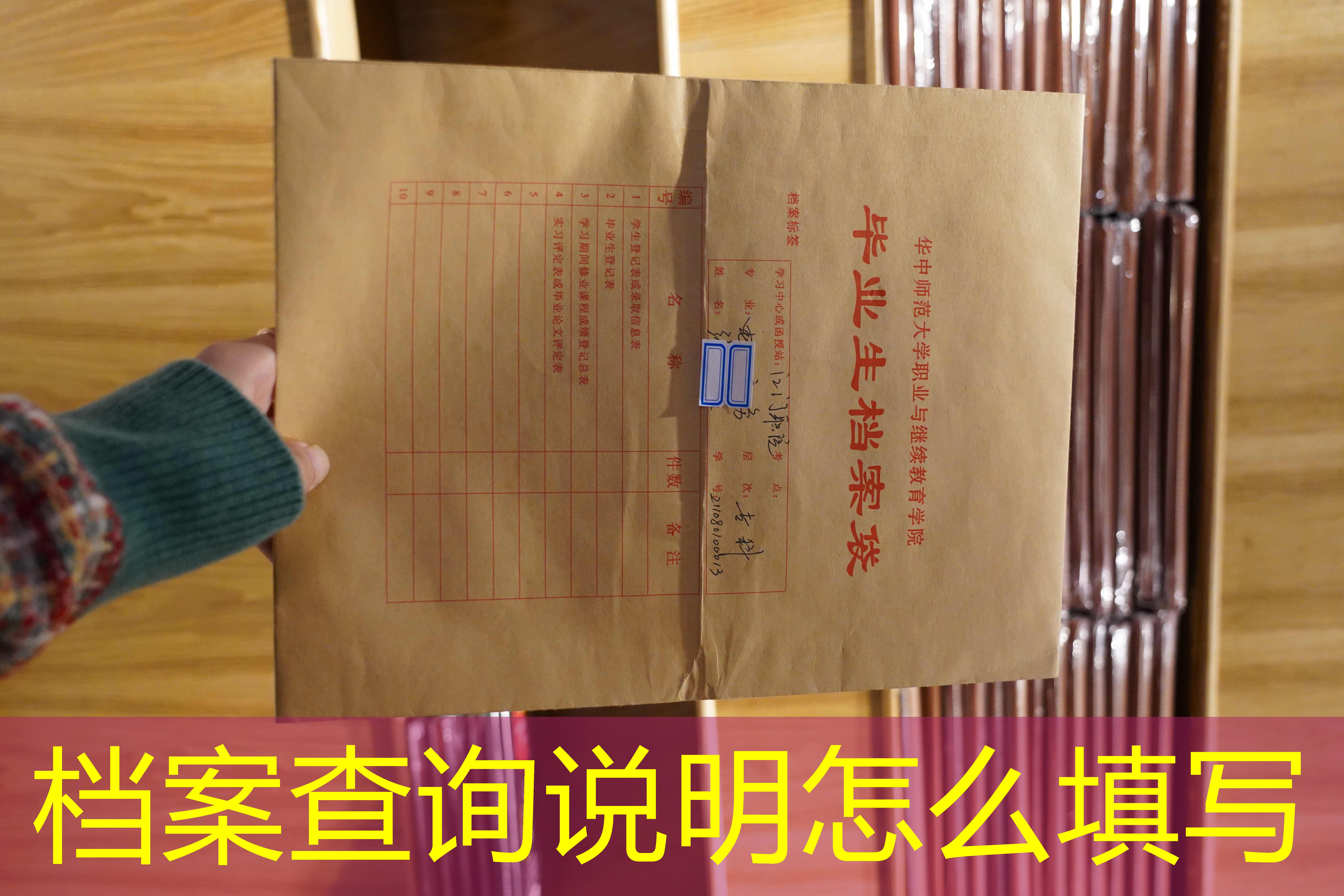 档案查询