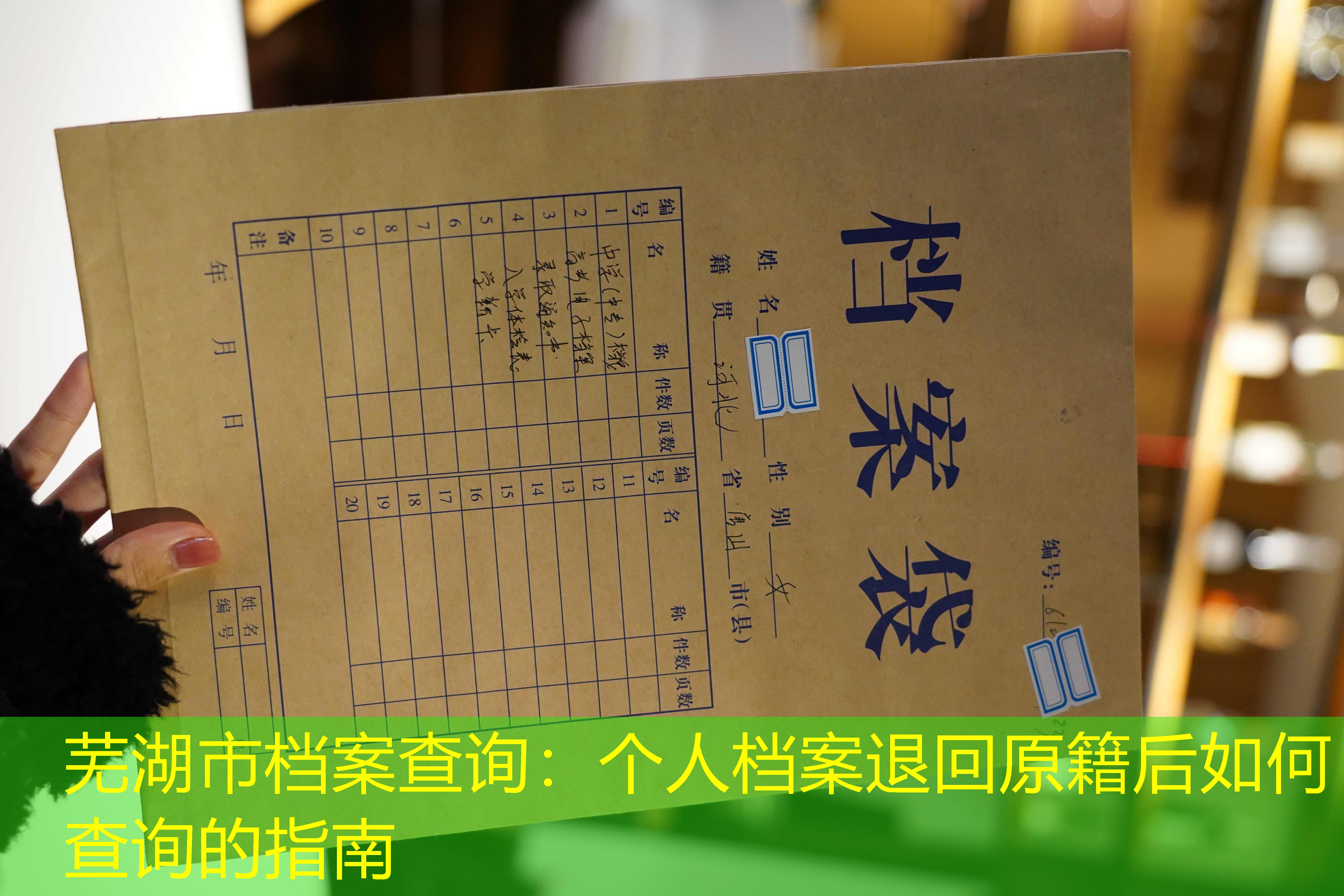 档案查询