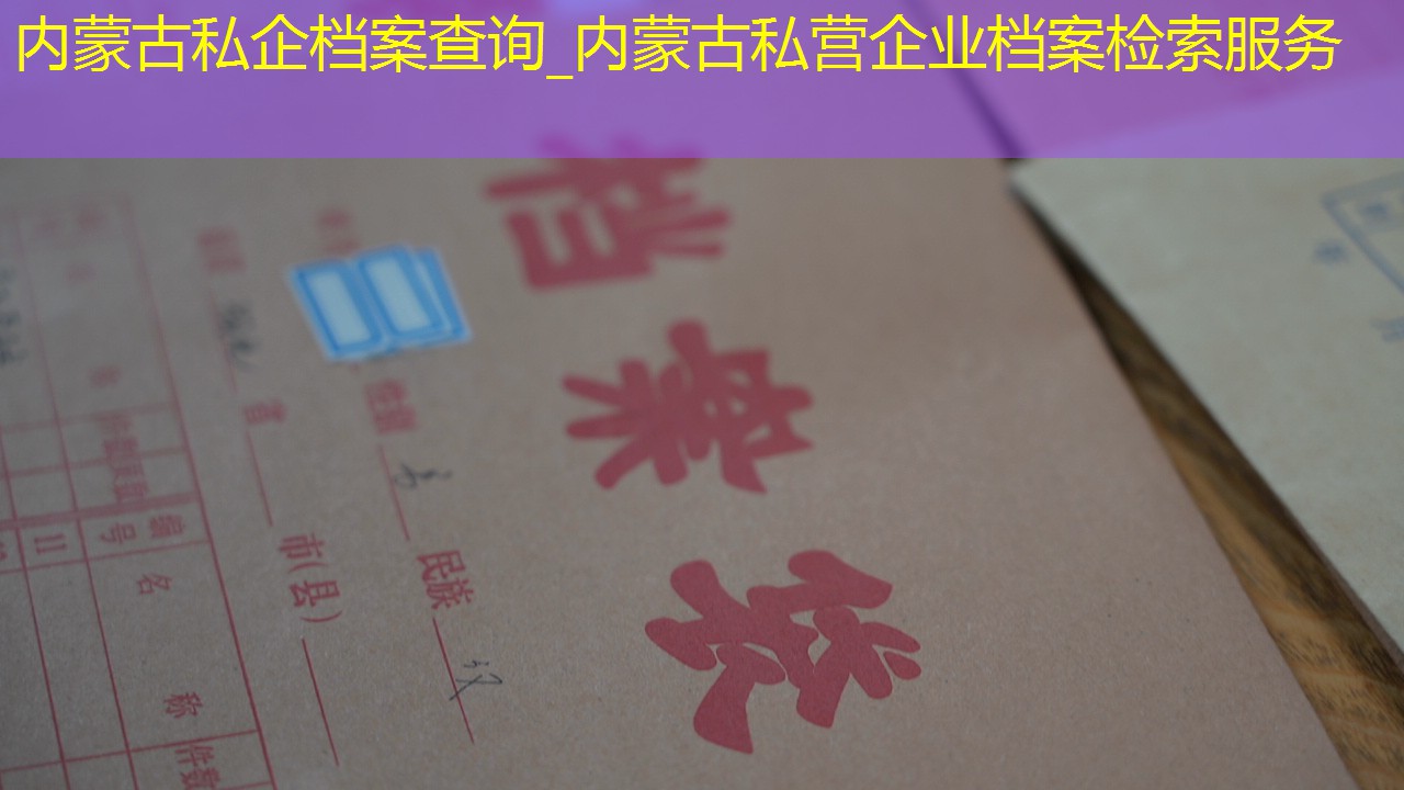档案查询