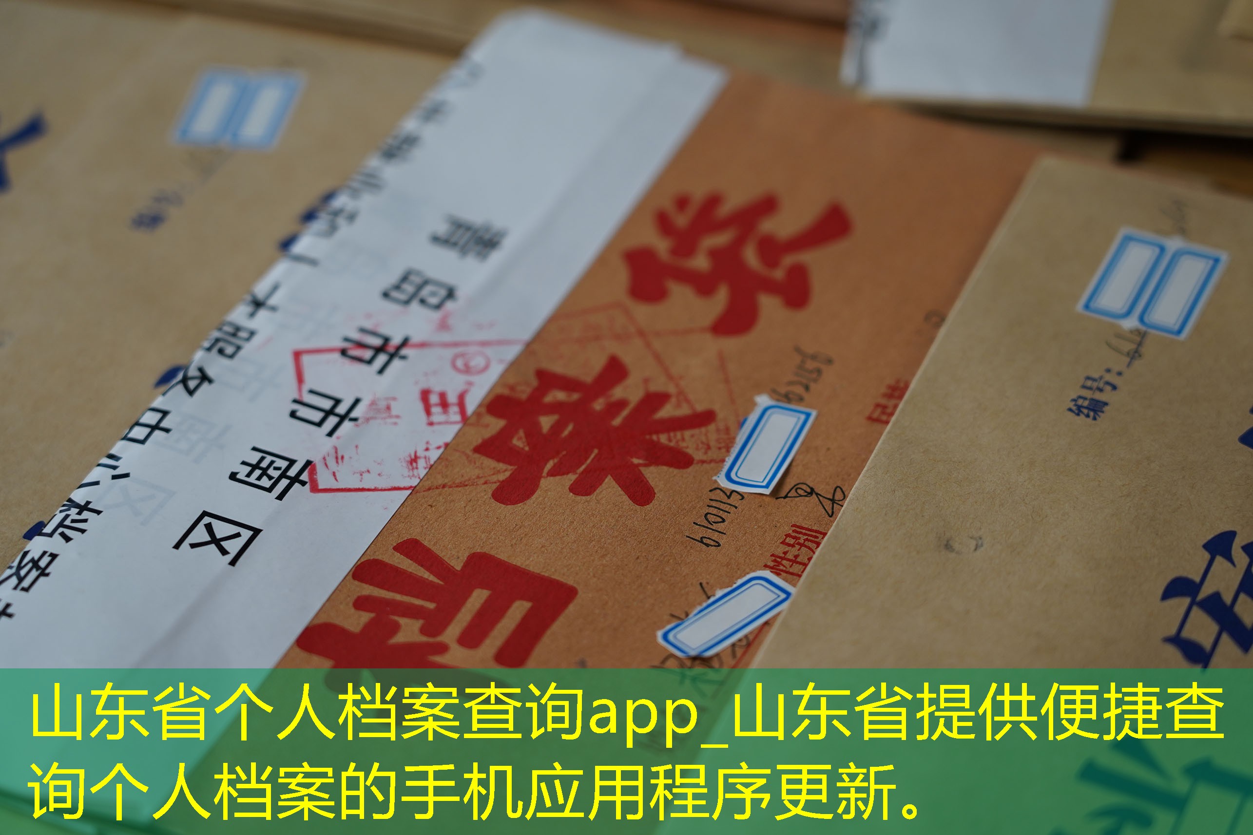 档案查询