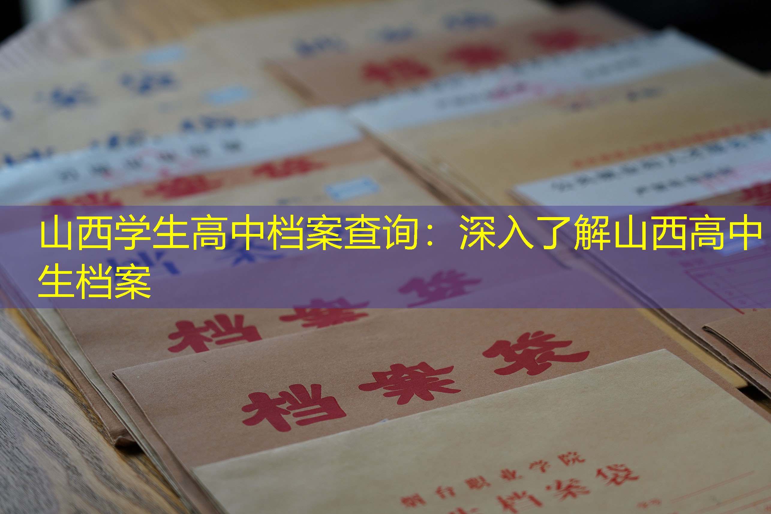 档案查询
