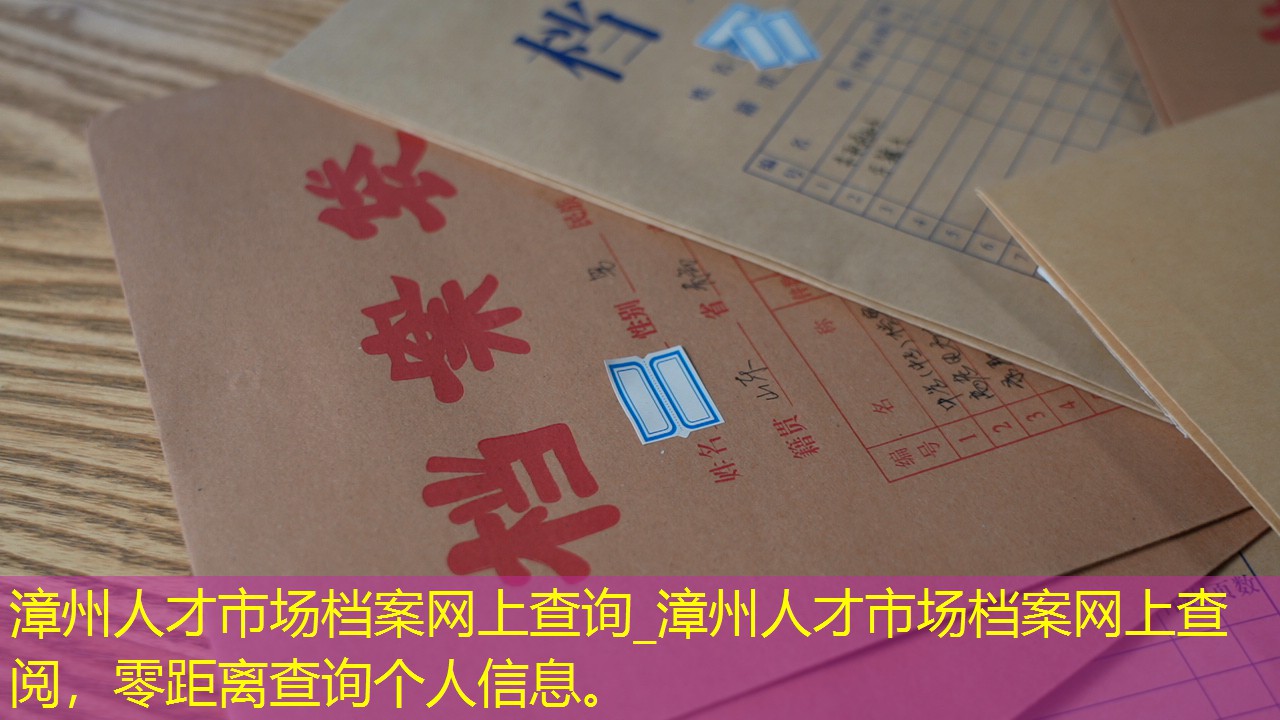 档案查询