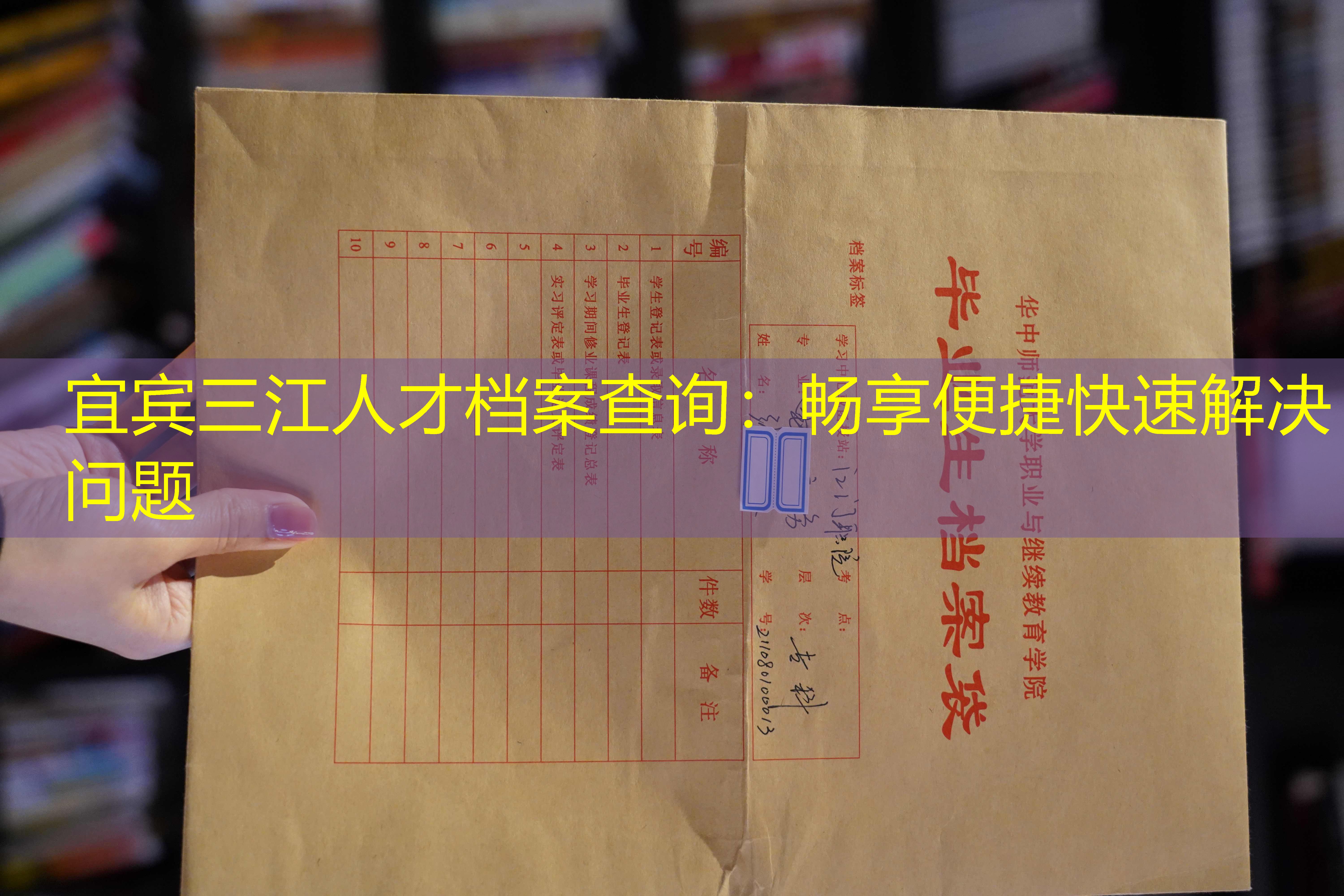 档案查询