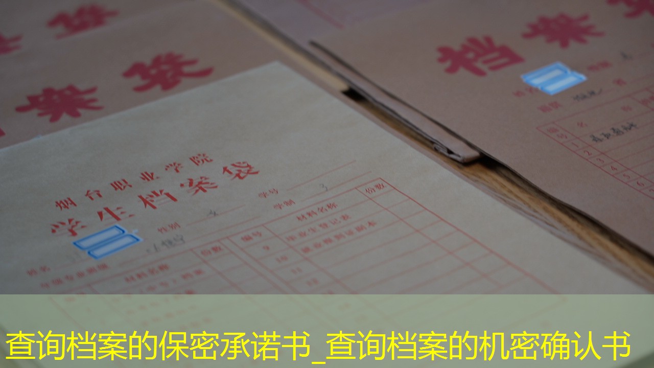 档案查询