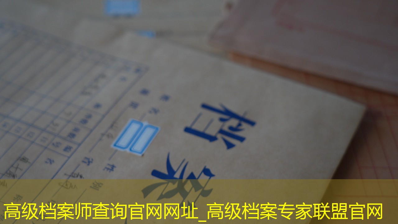 档案查询