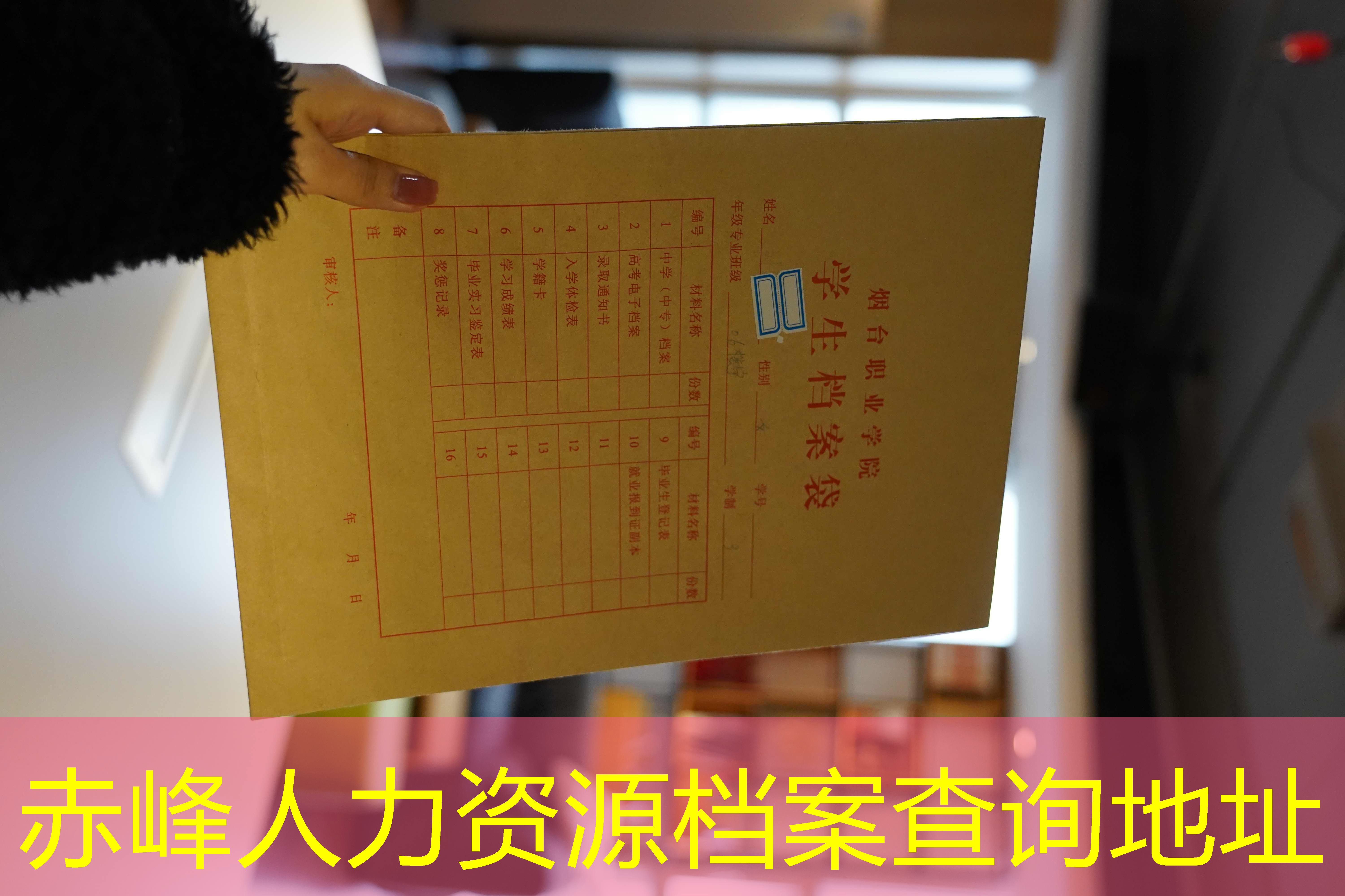 档案查询