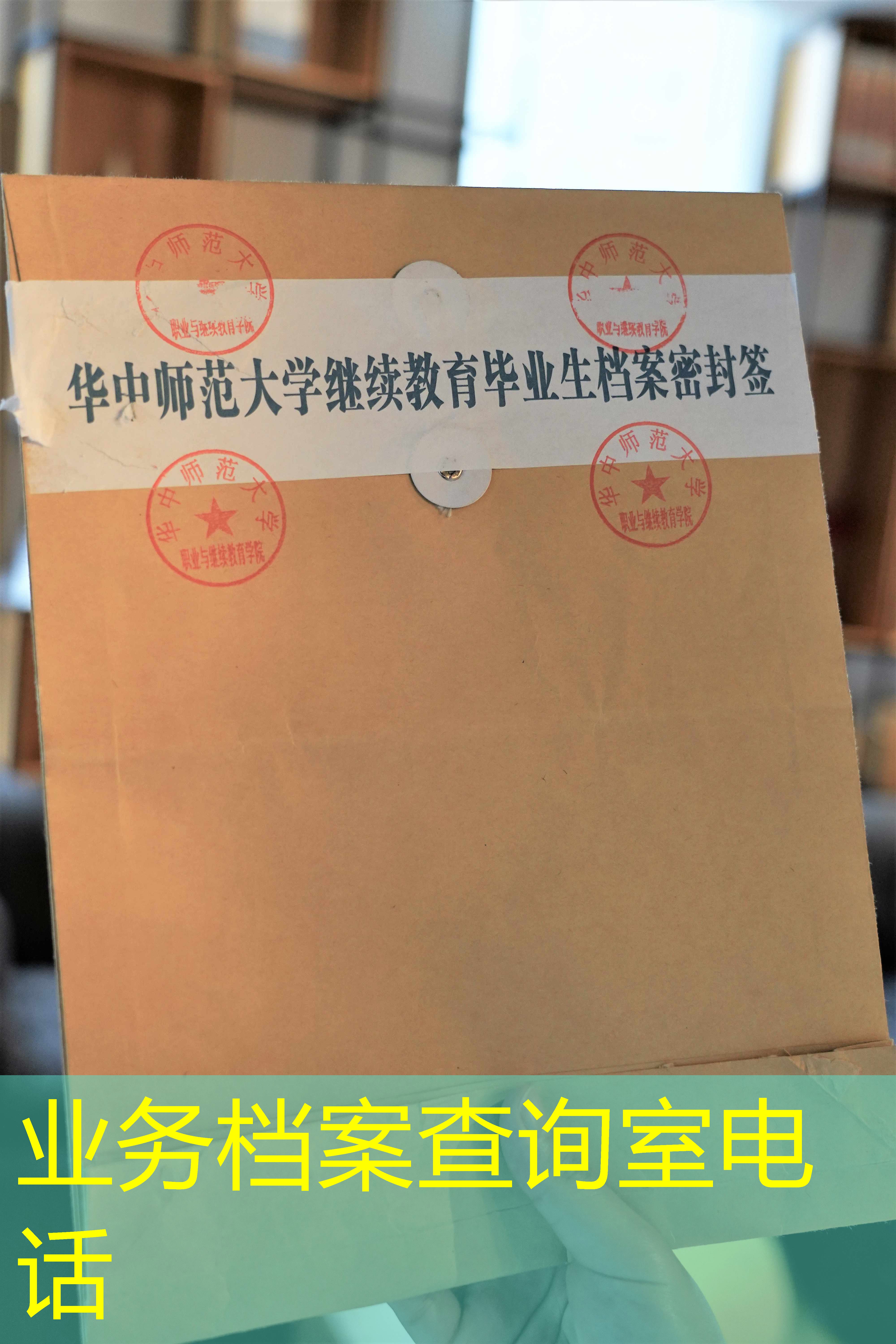档案查询