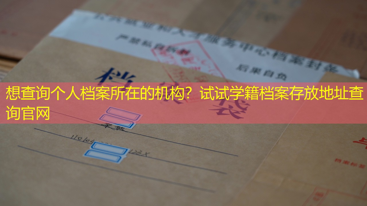 档案查询