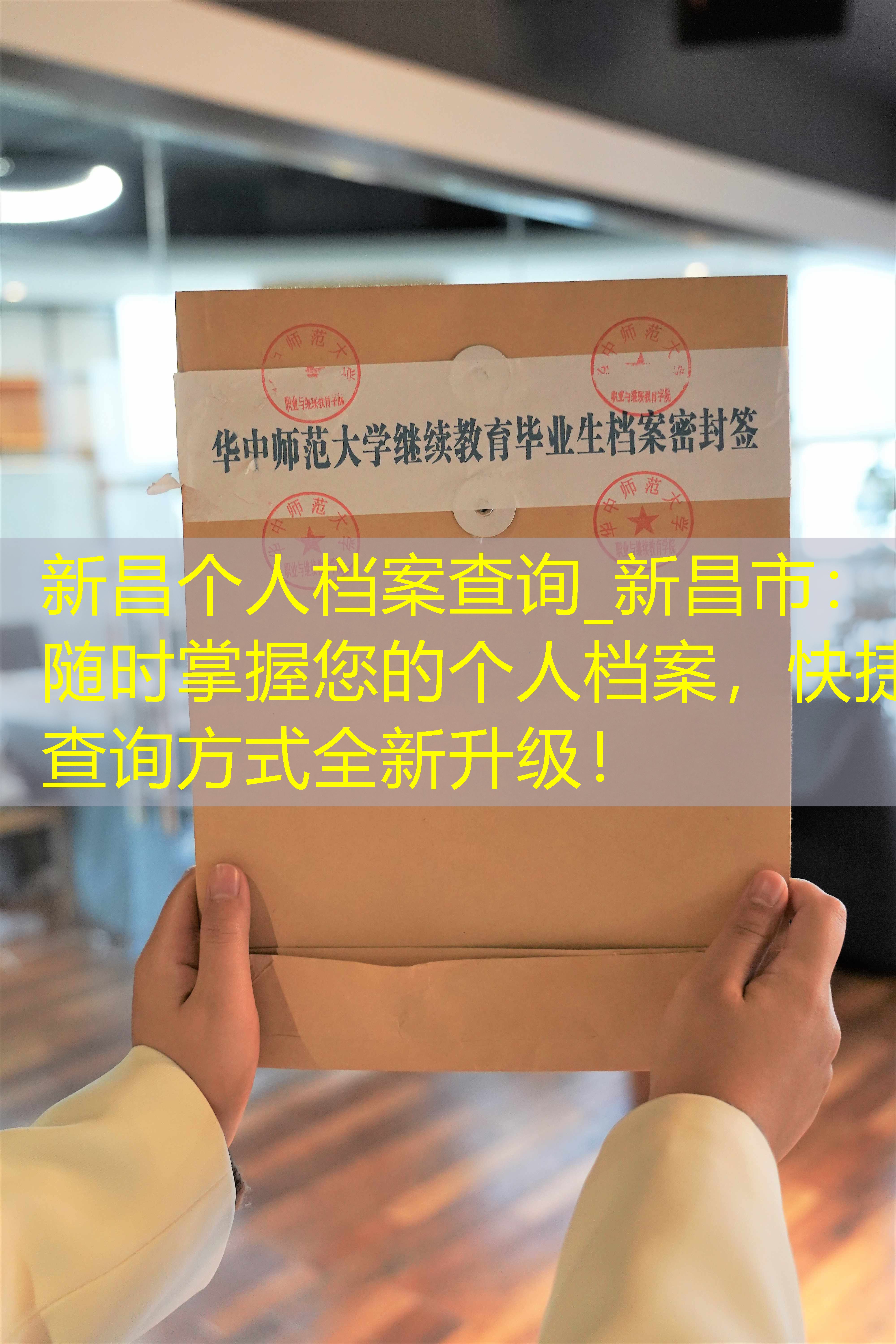 档案查询