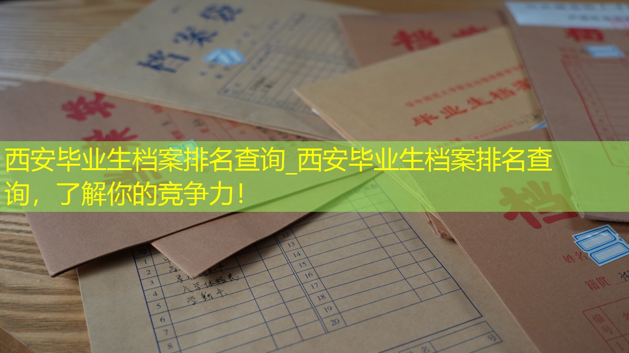 档案查询
