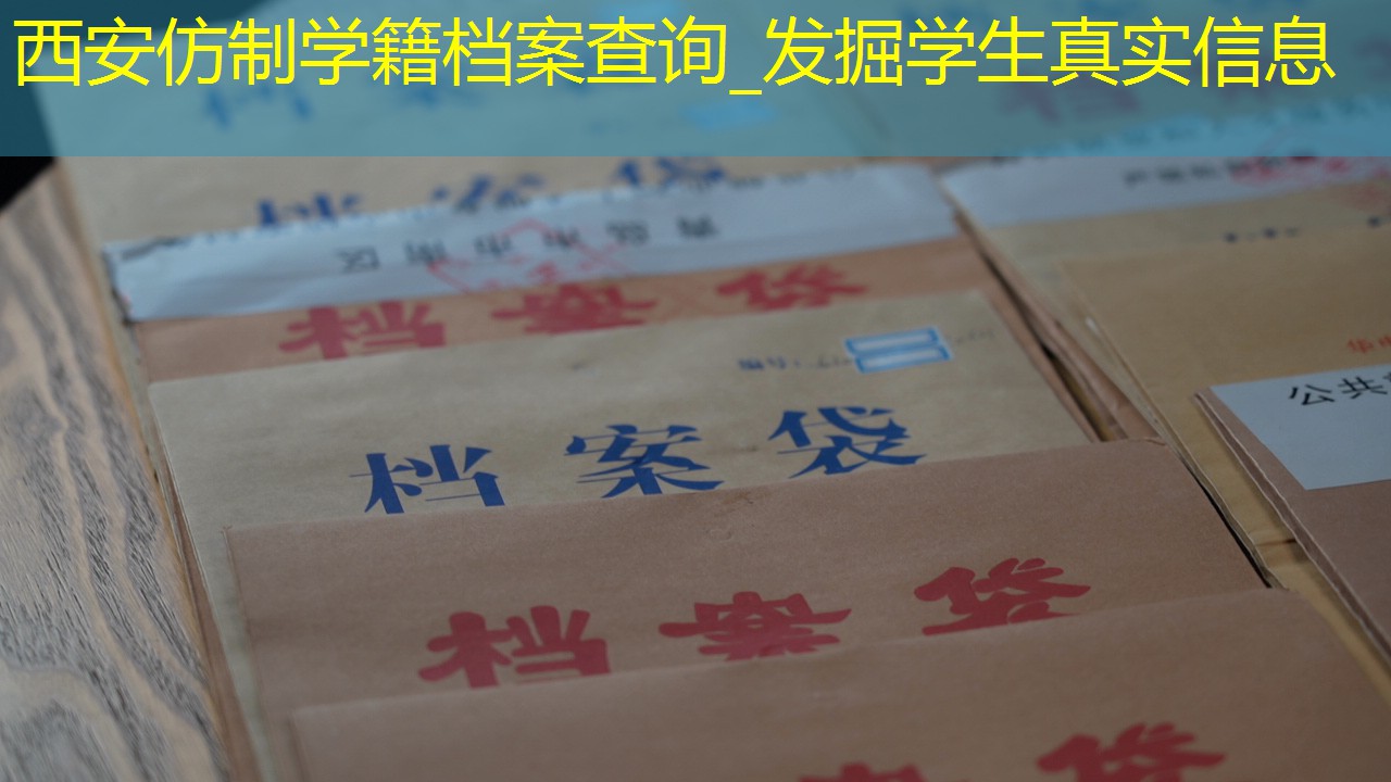 档案查询
