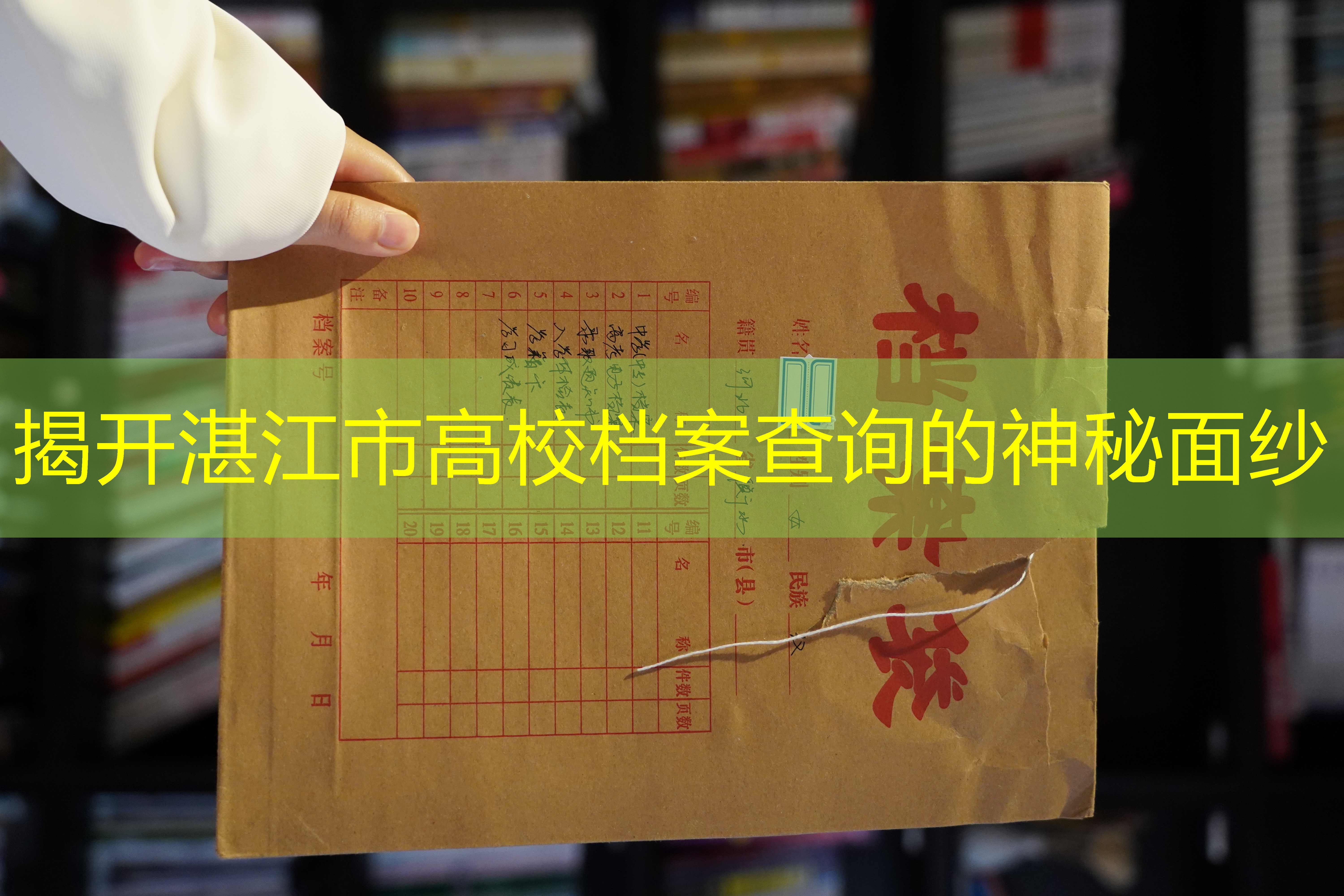 档案查询