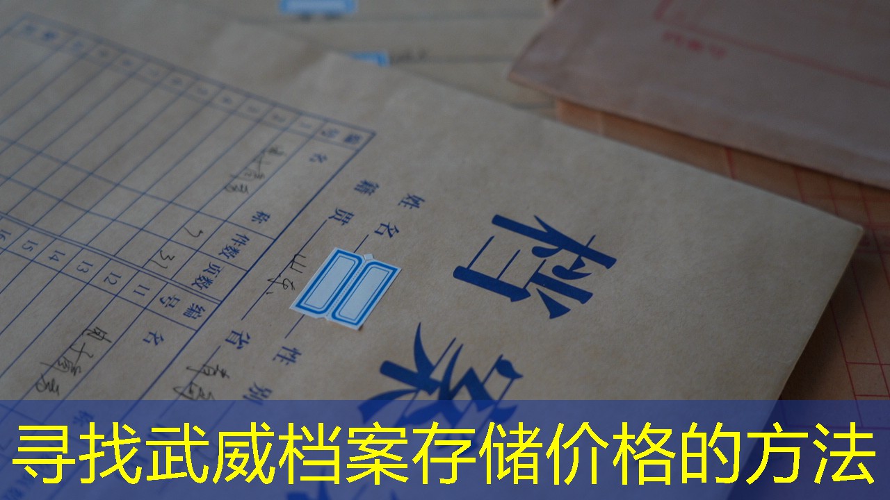 档案查询