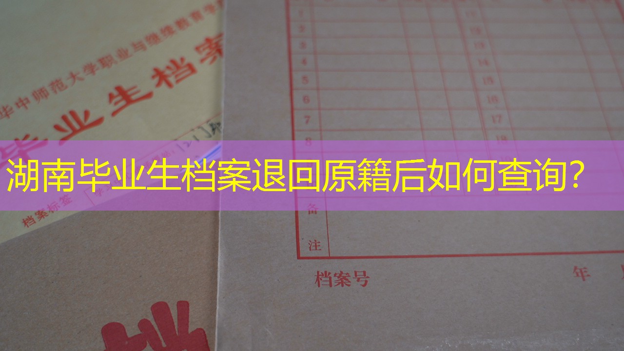 档案查询