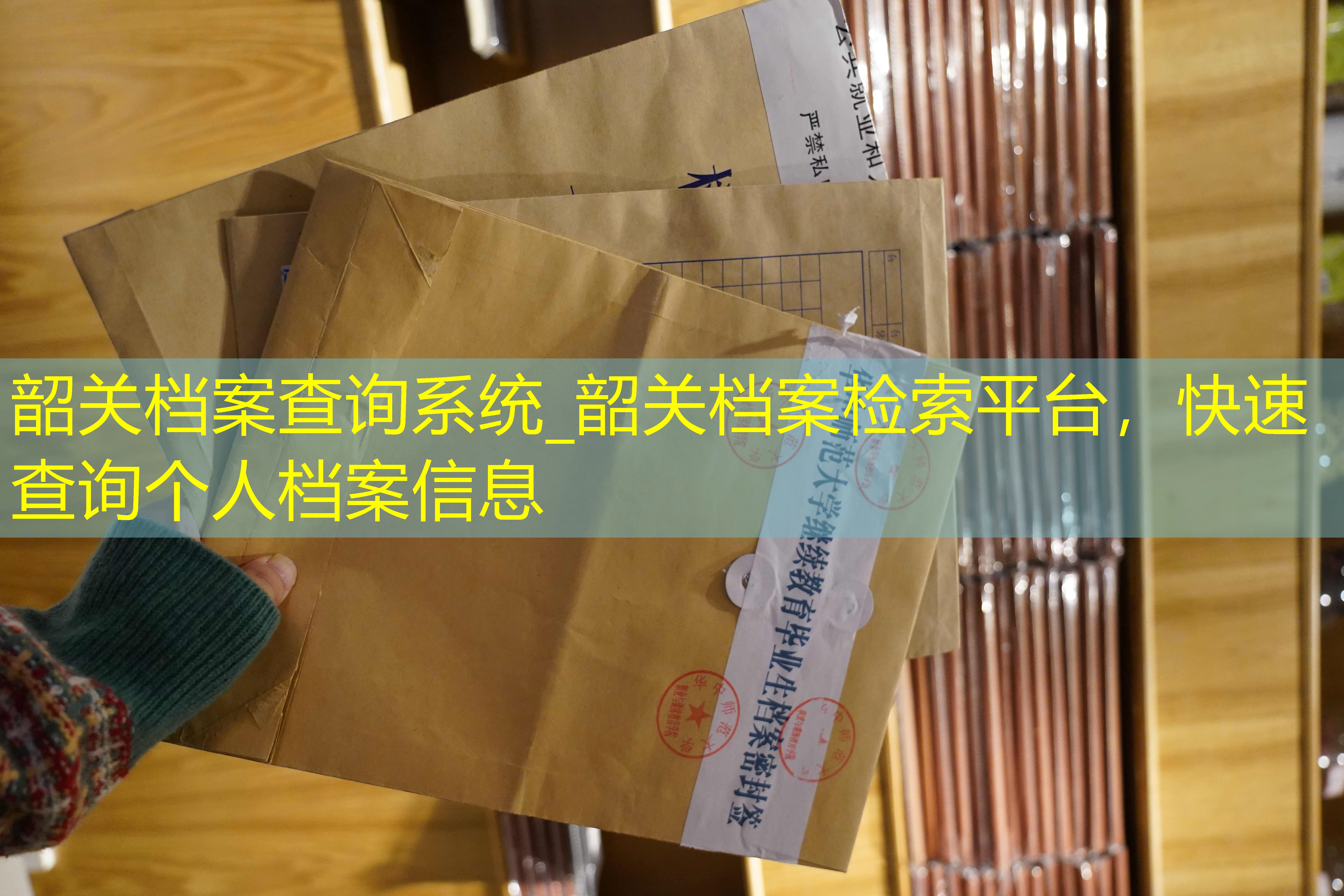 档案查询