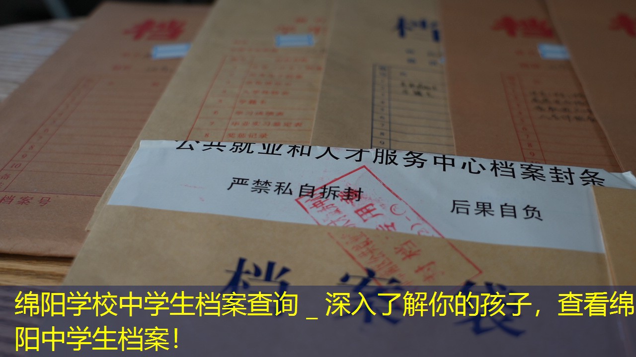 档案查询