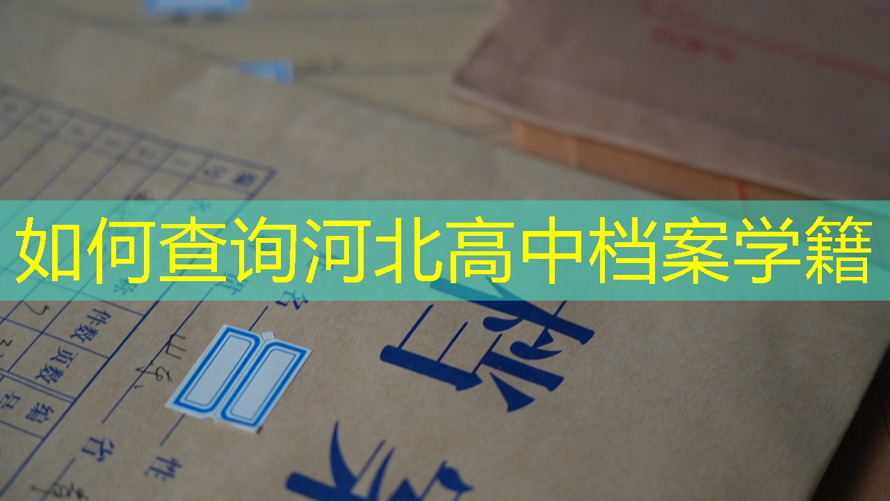 档案查询