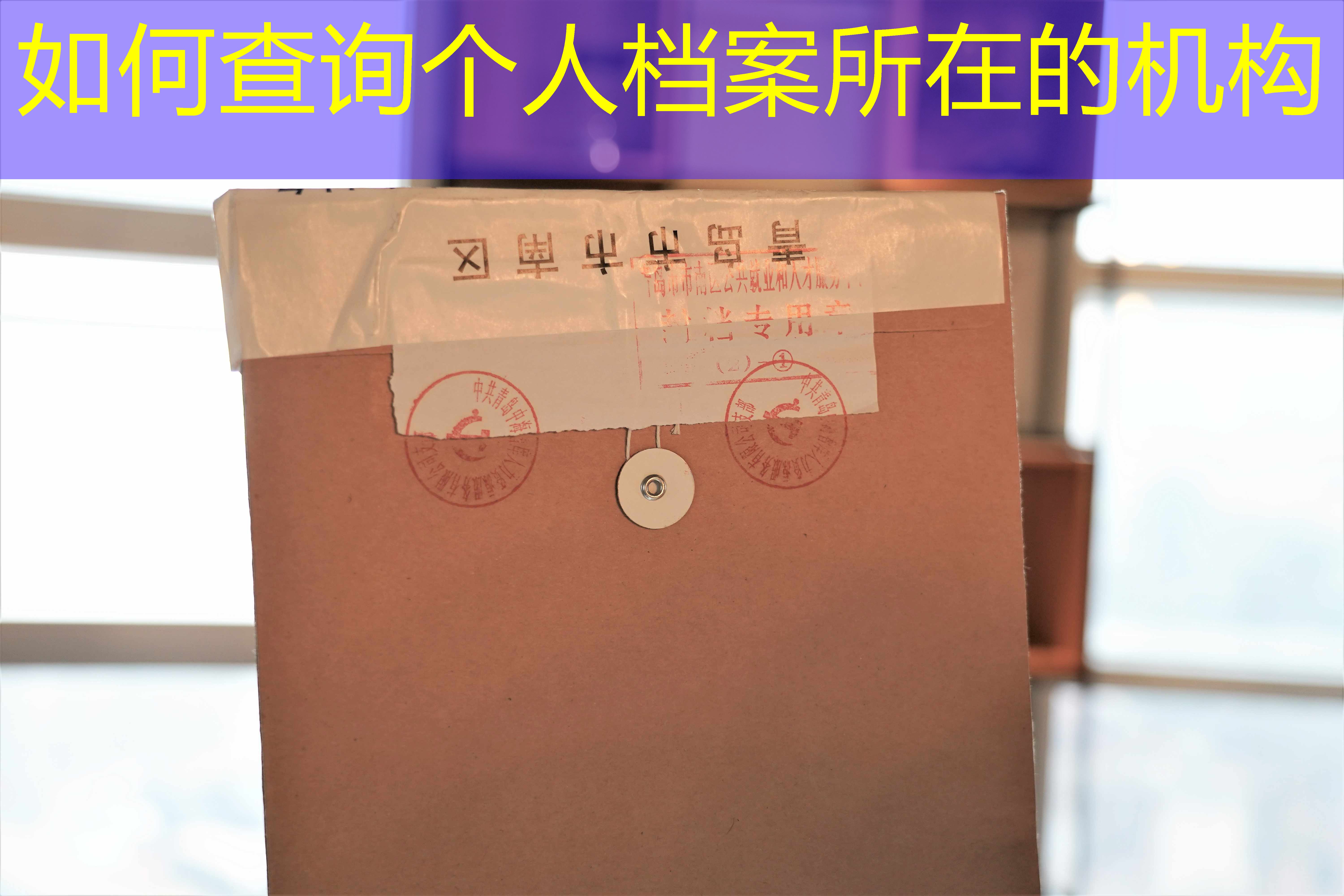 档案查询