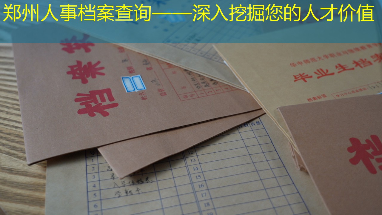 档案查询