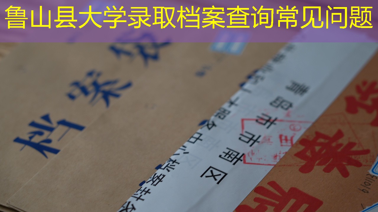 档案查询